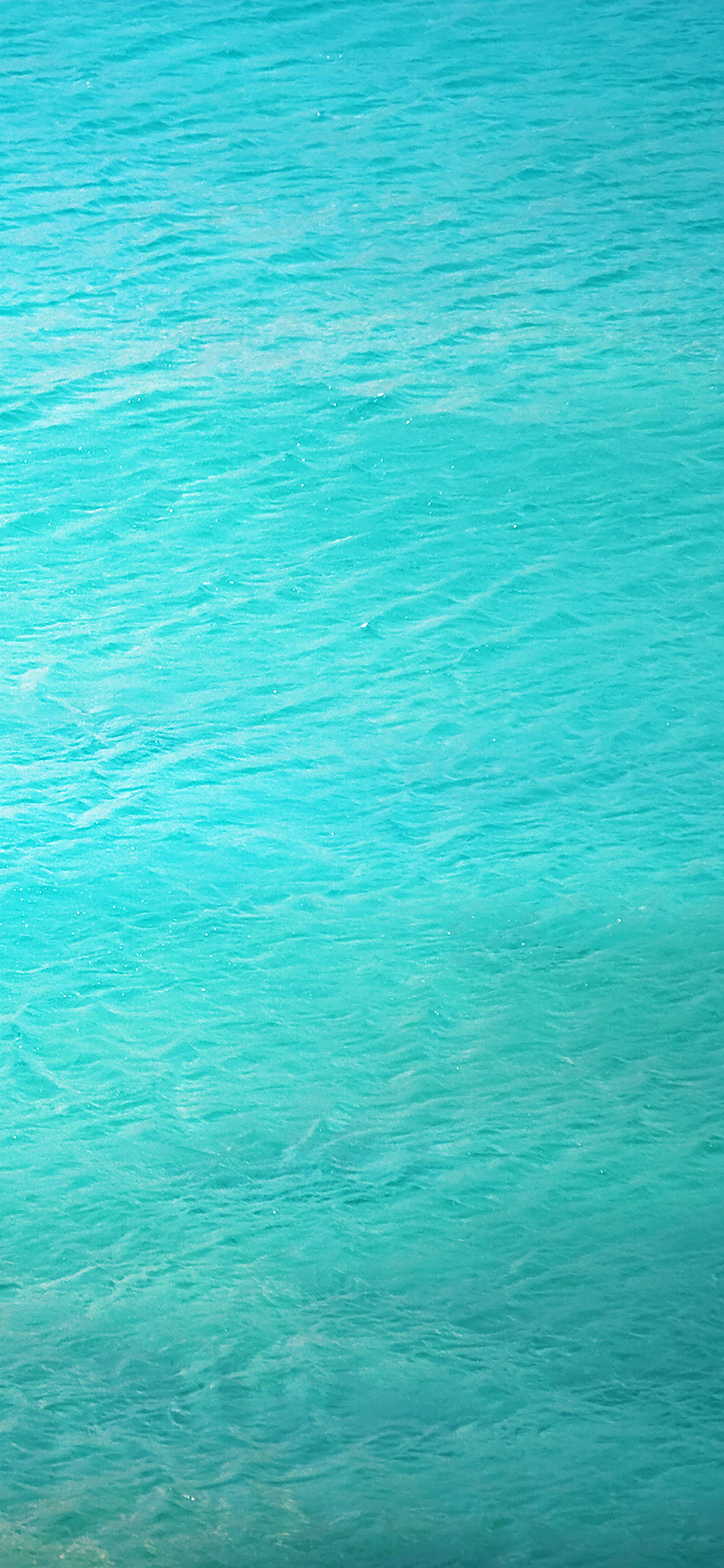 iPhoneXpapers sea ocean life