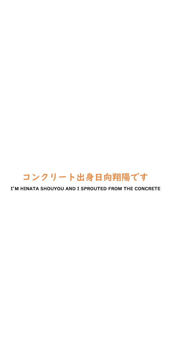 favorite haikyuu!! quotes [ 1 / ? ] vivo