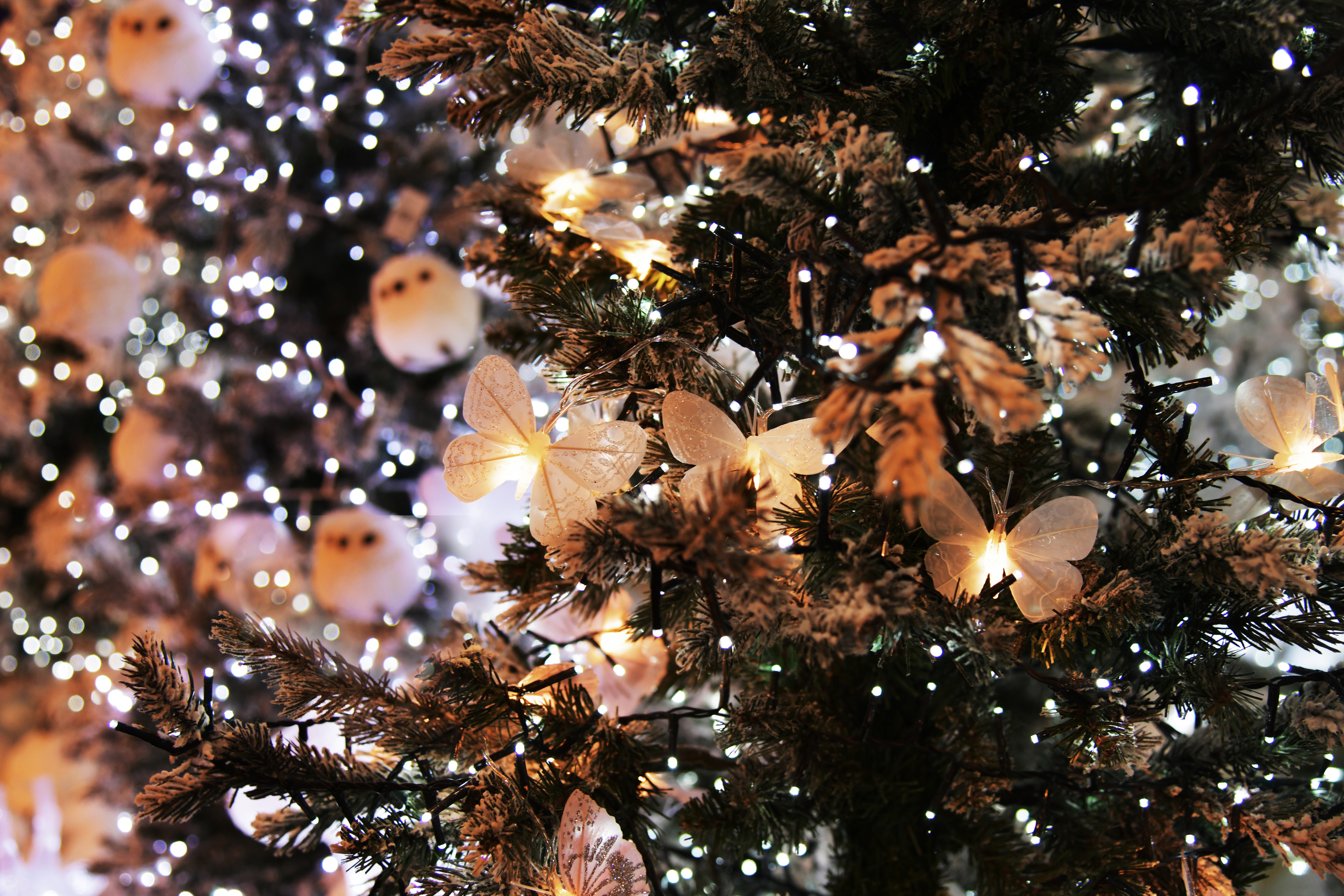 Christmas Lights and Butterfly Ornaments on a Christmas Tree · Free