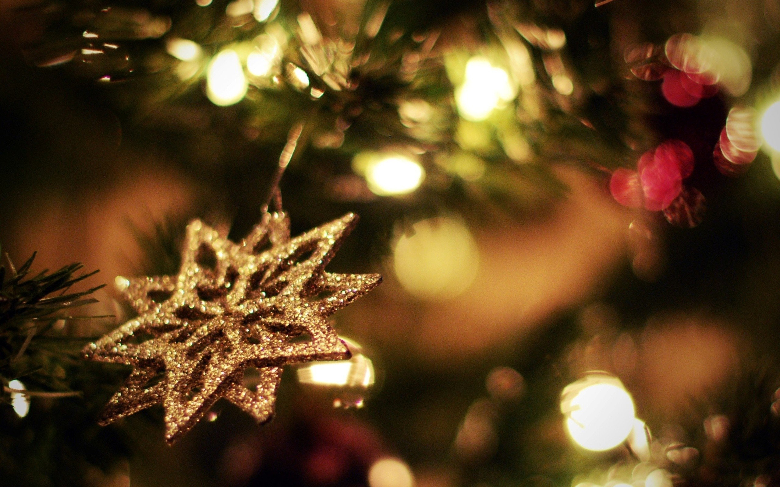 Wallpaper, sunlight, night, branch, Christmas Tree, Christmas ornaments, holiday, christmas lights, light, tree, autumn, leaf, flower, lighting, woody plant, christmas decoration, macro photography 2560x1600