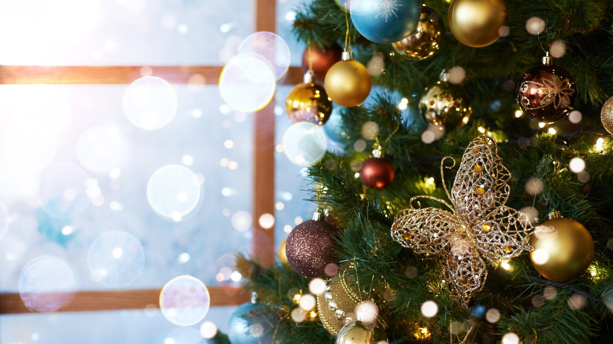 Christmas decorations: ornaments for your tree and home from Gisela Graham and Lidl, and best fairy lights