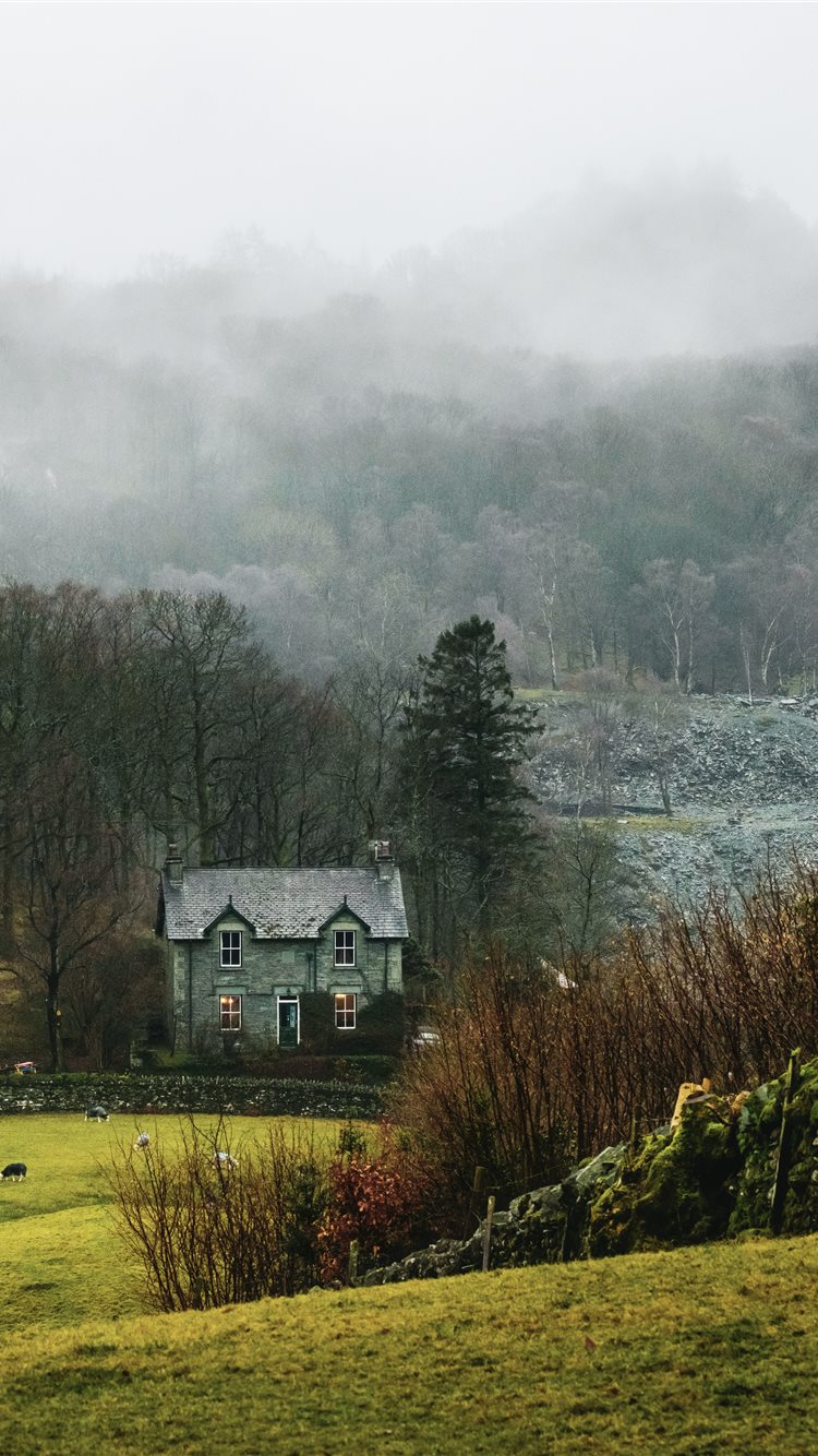 house at forest surrounded with fog iPhone 8 Wallpaper Free Download