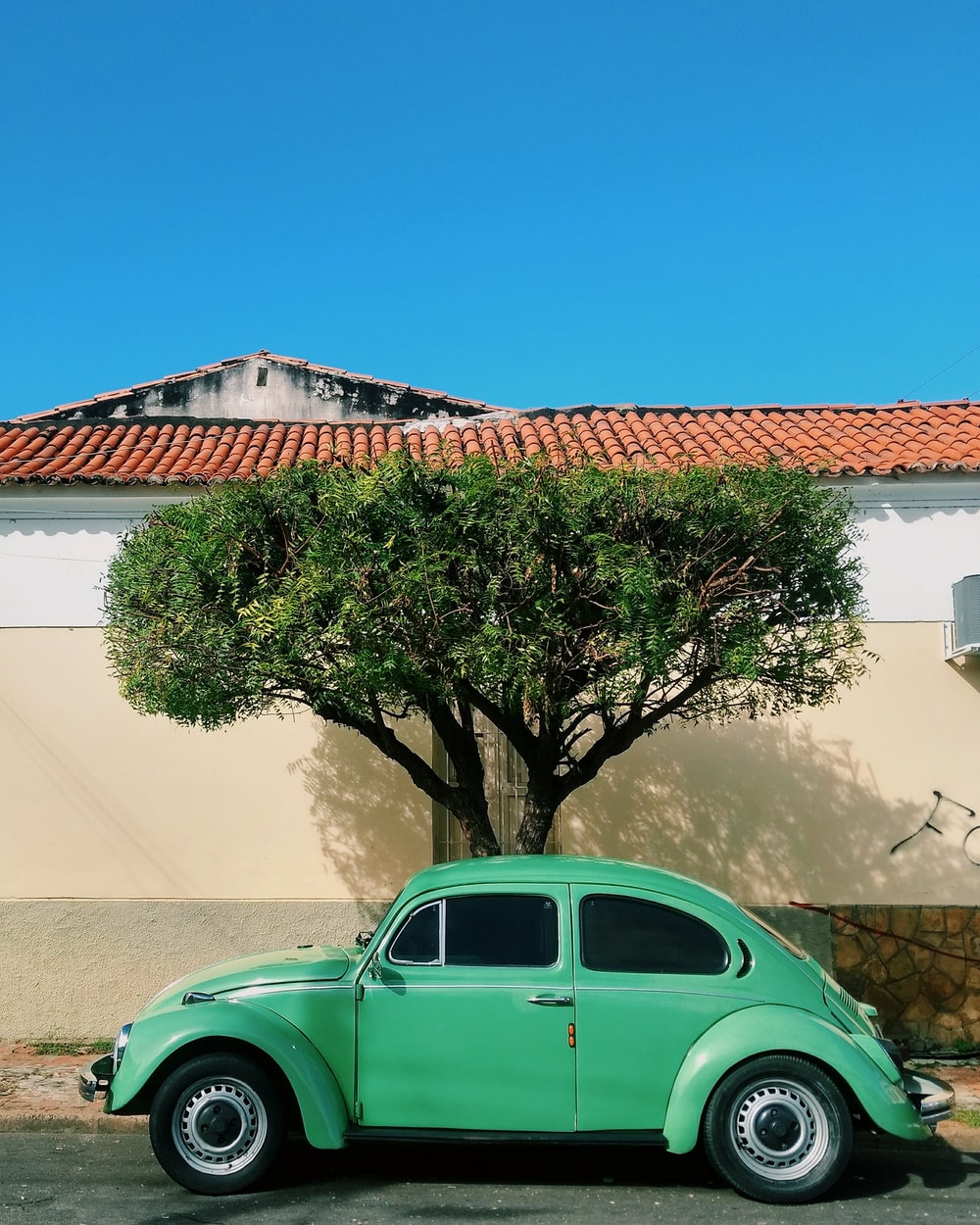 teal Volkswagen beetle car photo