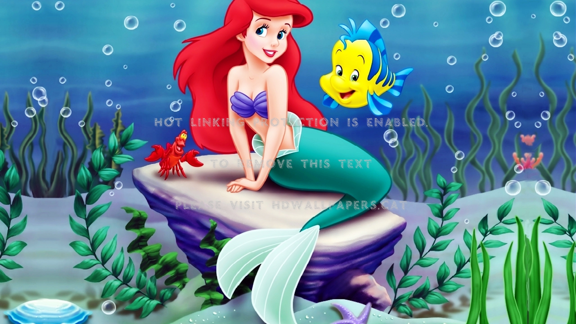 the little mermaid ariel underwater fish