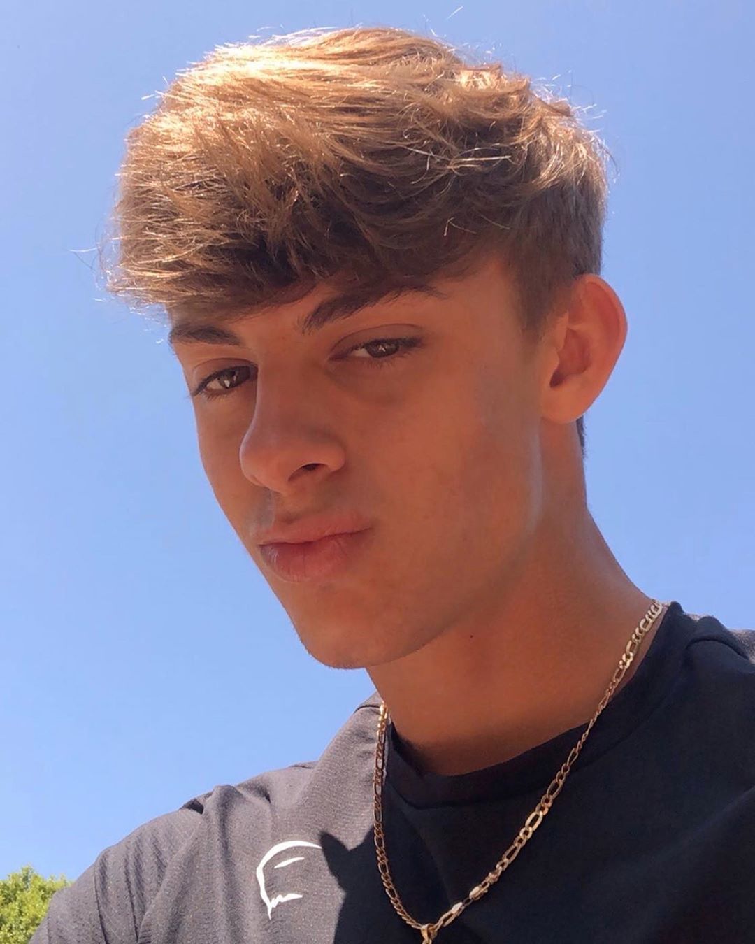 Bryce buse