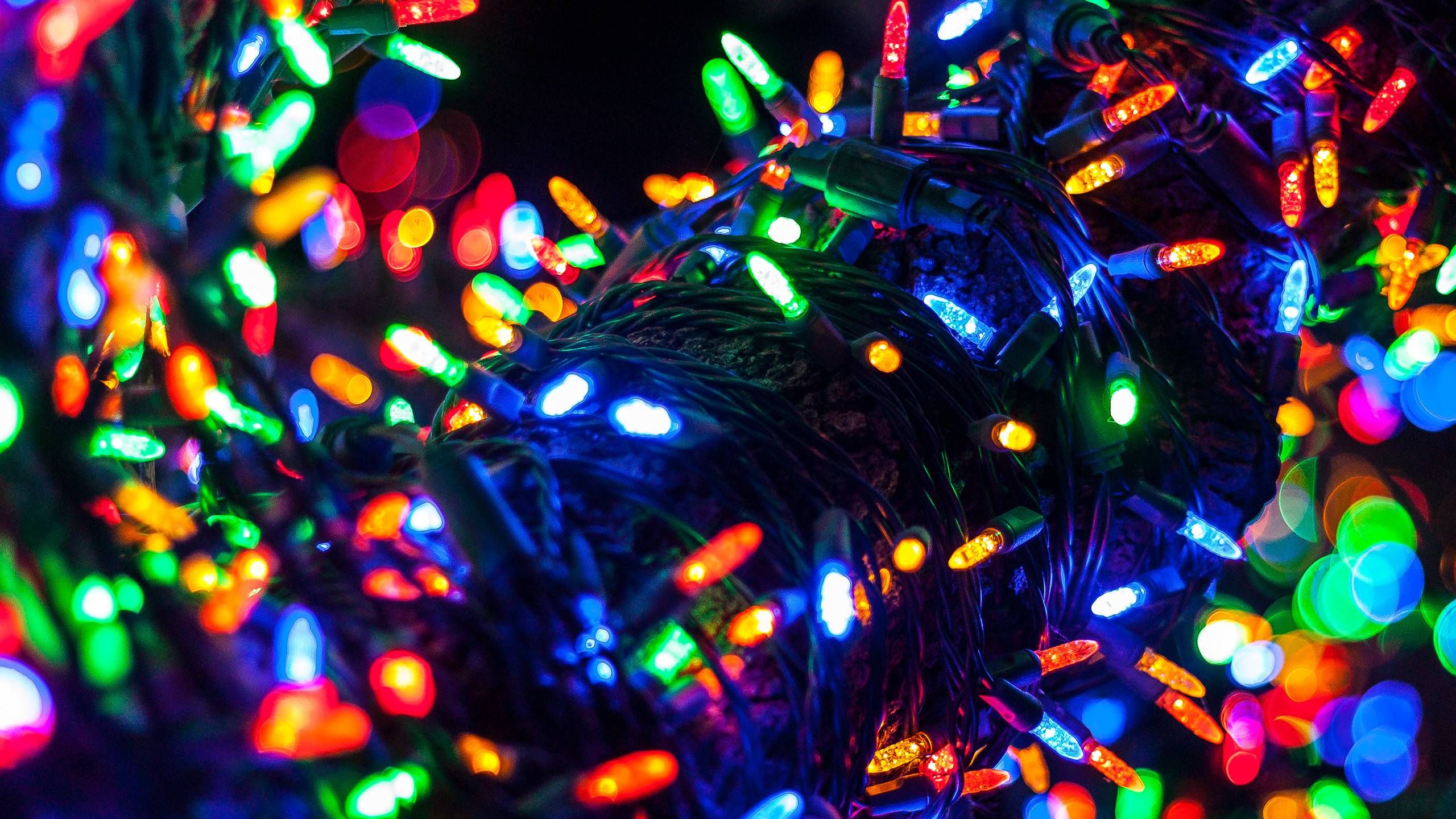 Christmas Tree Lights [2560x1440] • R Wallpaper. Christmas Tree Lighting, Christmas Tree, Tree
