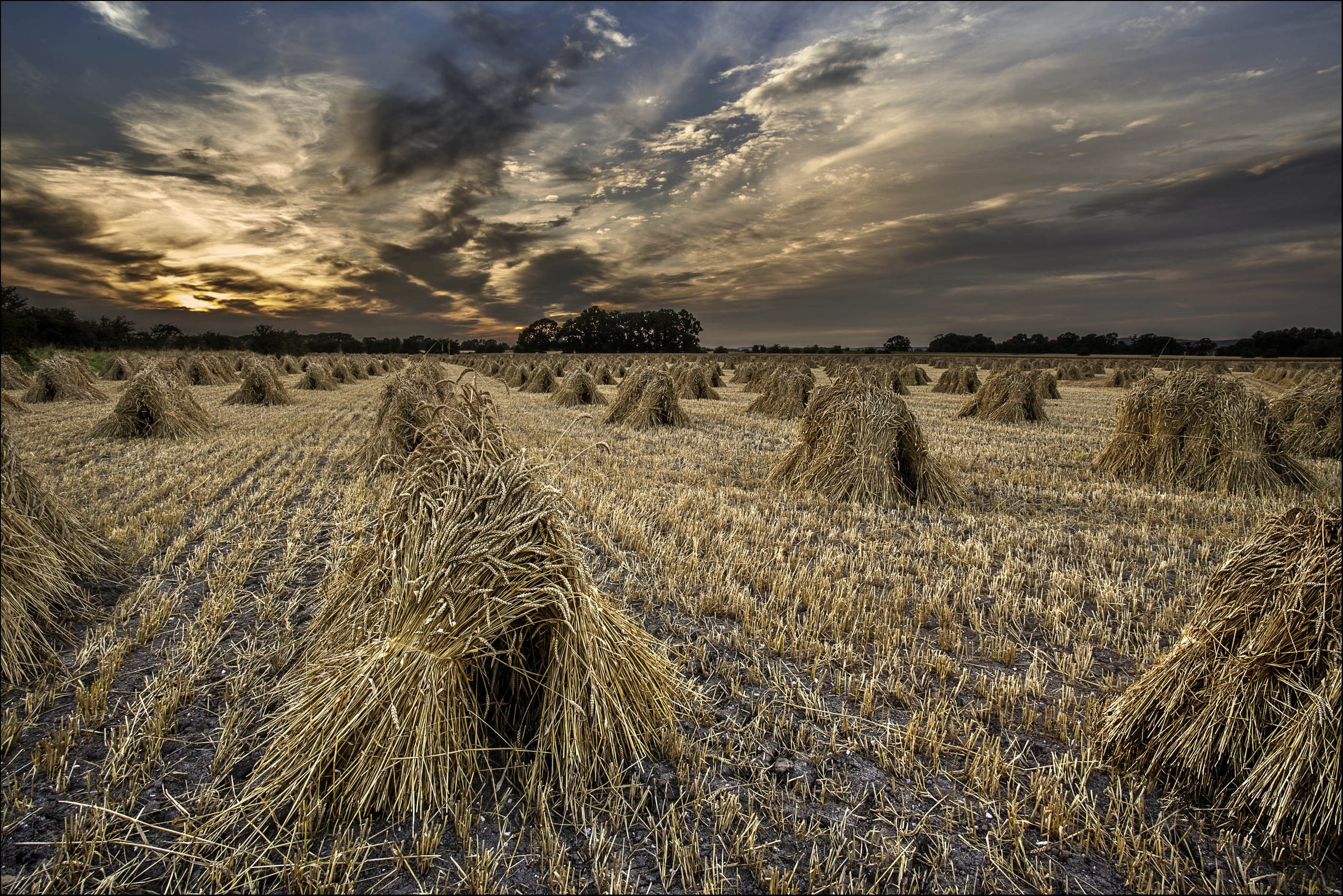 sunset, Field, Sheaves, Landscape, Autumn, Grass, Wheat Wallpaper HD / Desktop and Mobile Background