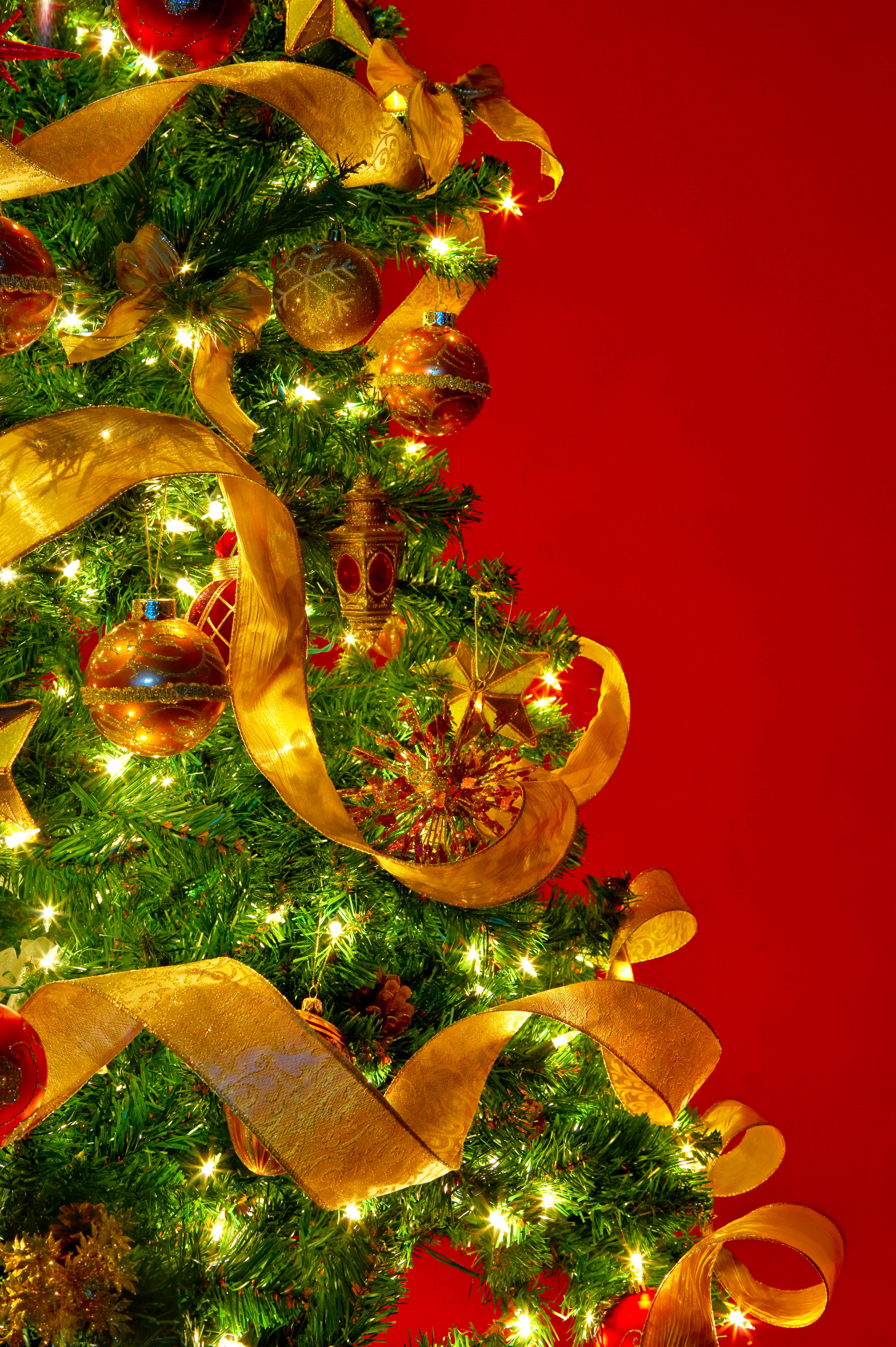 National Christmas Tree Lighting 2012