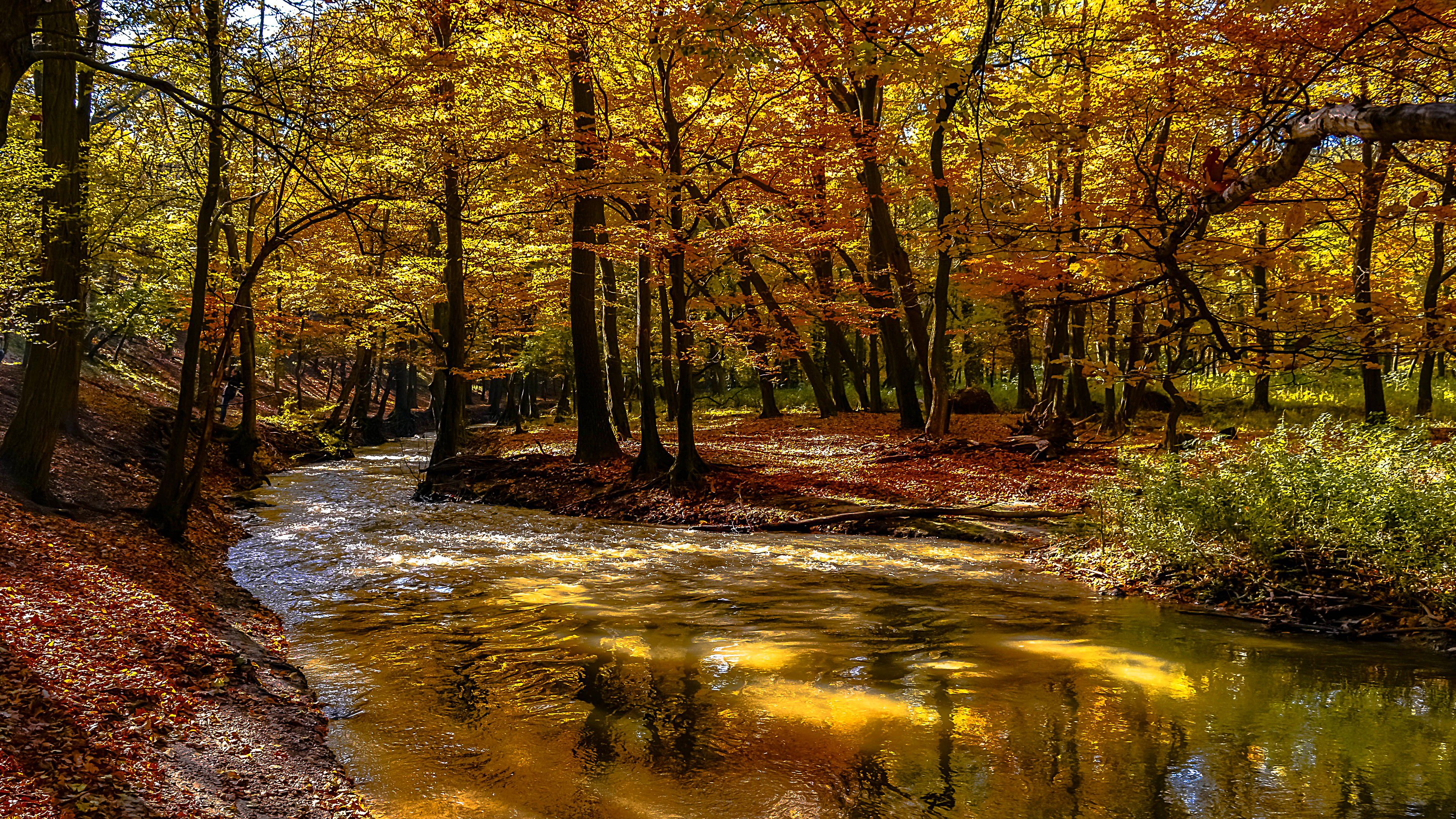 Rainy River Landscape At Autumn- HD 4K