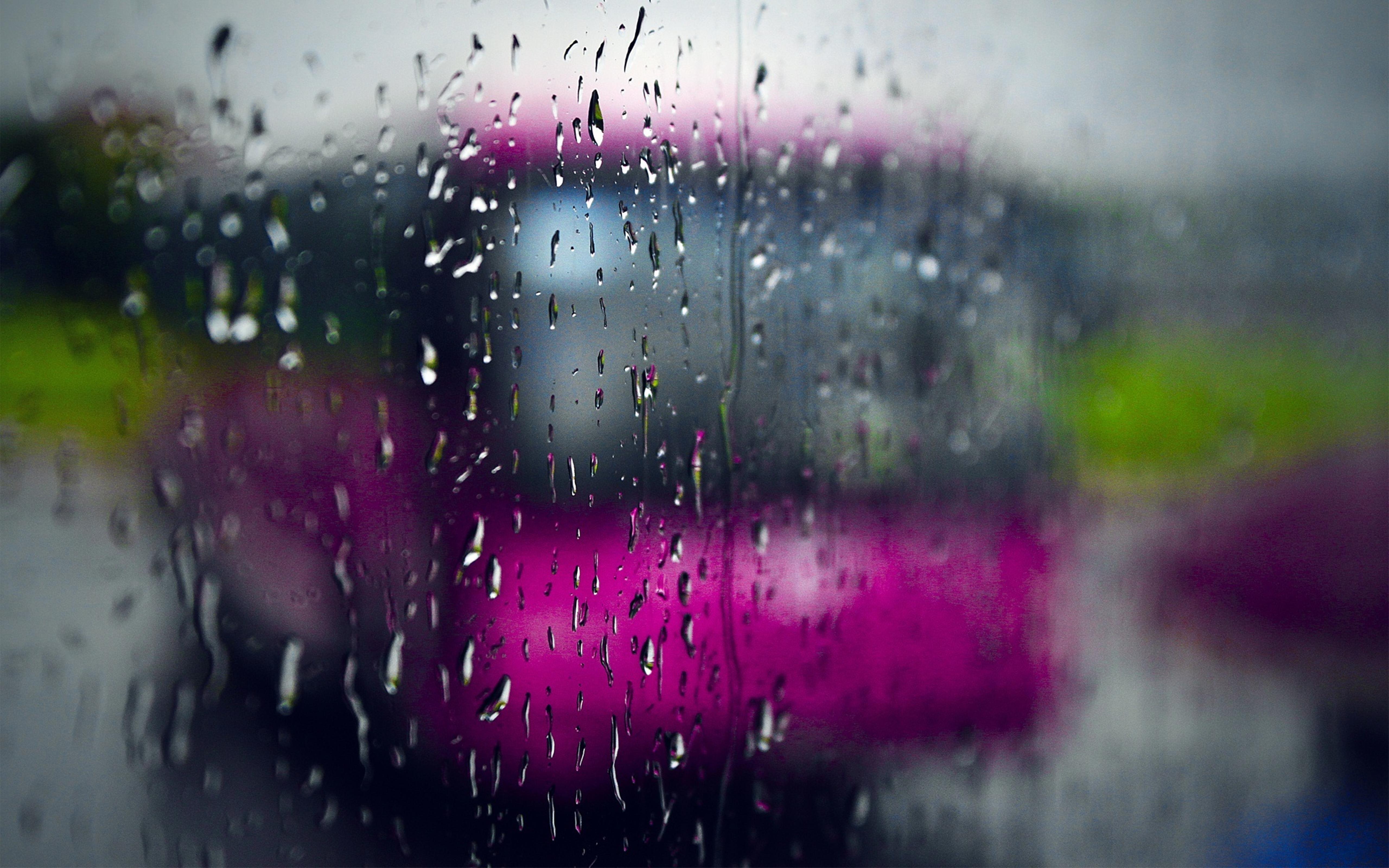 Pink bus in a rainy Autumn day