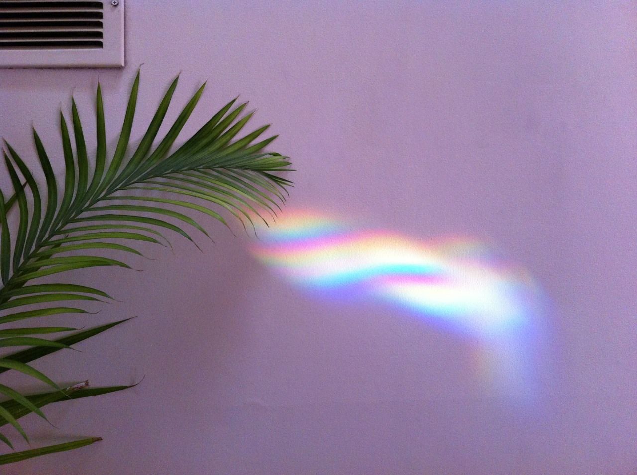 Photography. Rainbow aesthetic, Rainbow light, Rainbow