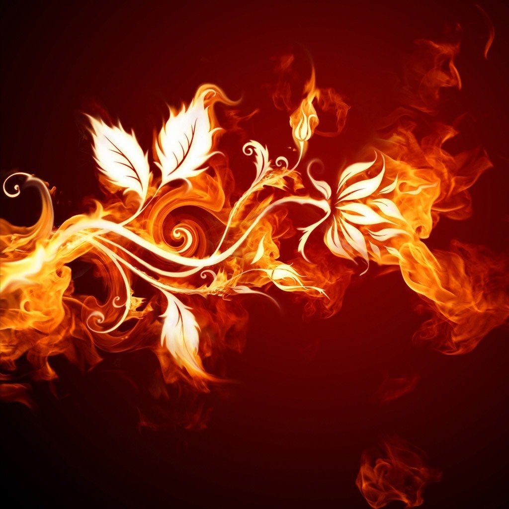 Flower On Fire Wallpapers - Wallpaper Cave