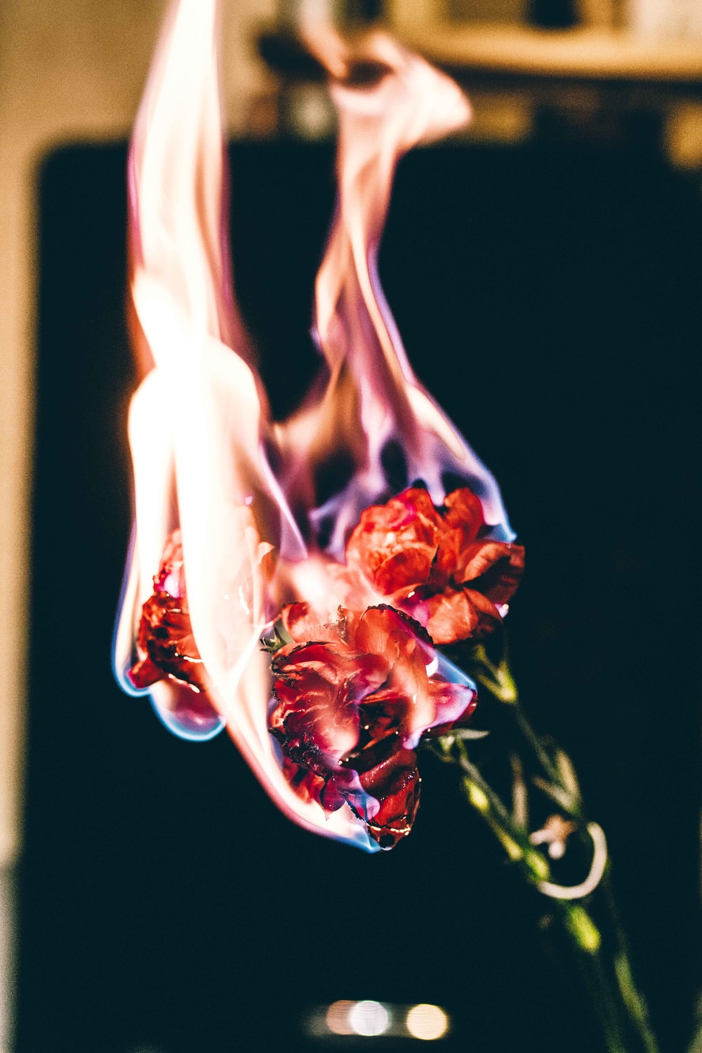 Flower On Fire Wallpapers - Wallpaper Cave