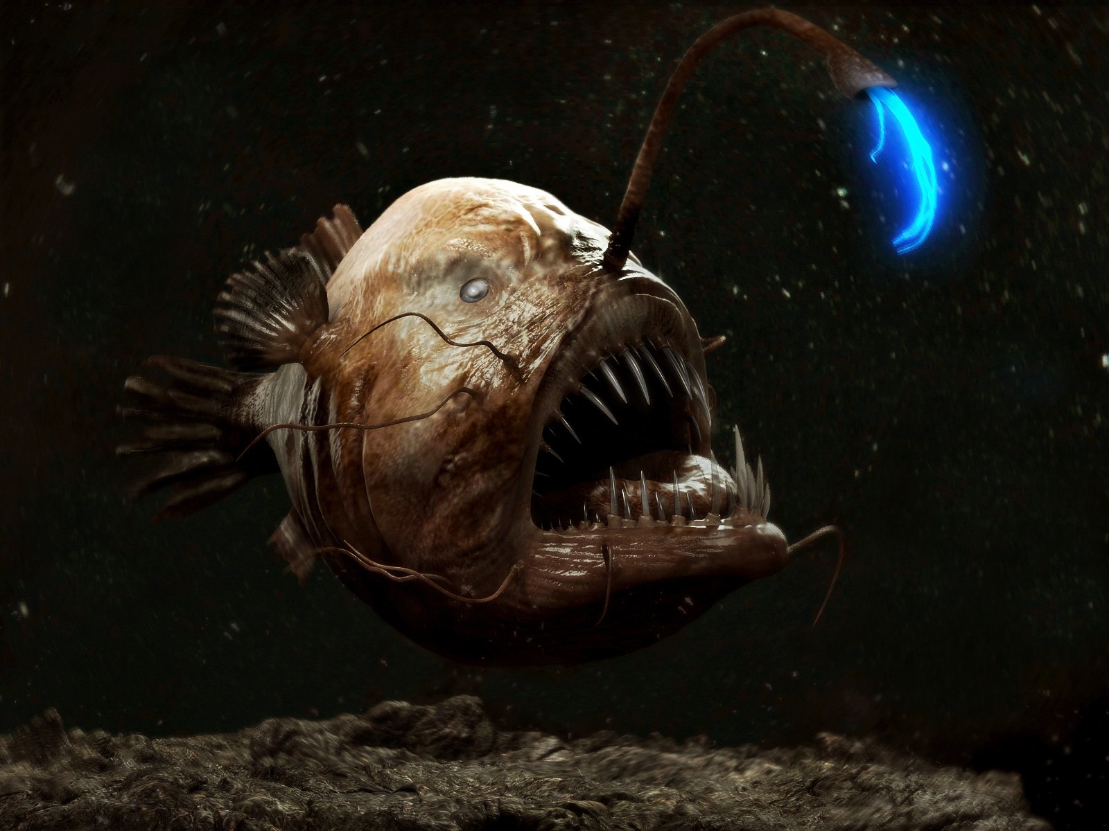 anglerfish, Fish, Ocean, Sea, Underwater, Dark, Creepy, Monster, Fangs Wallpaper HD / Desktop and Mobile Background