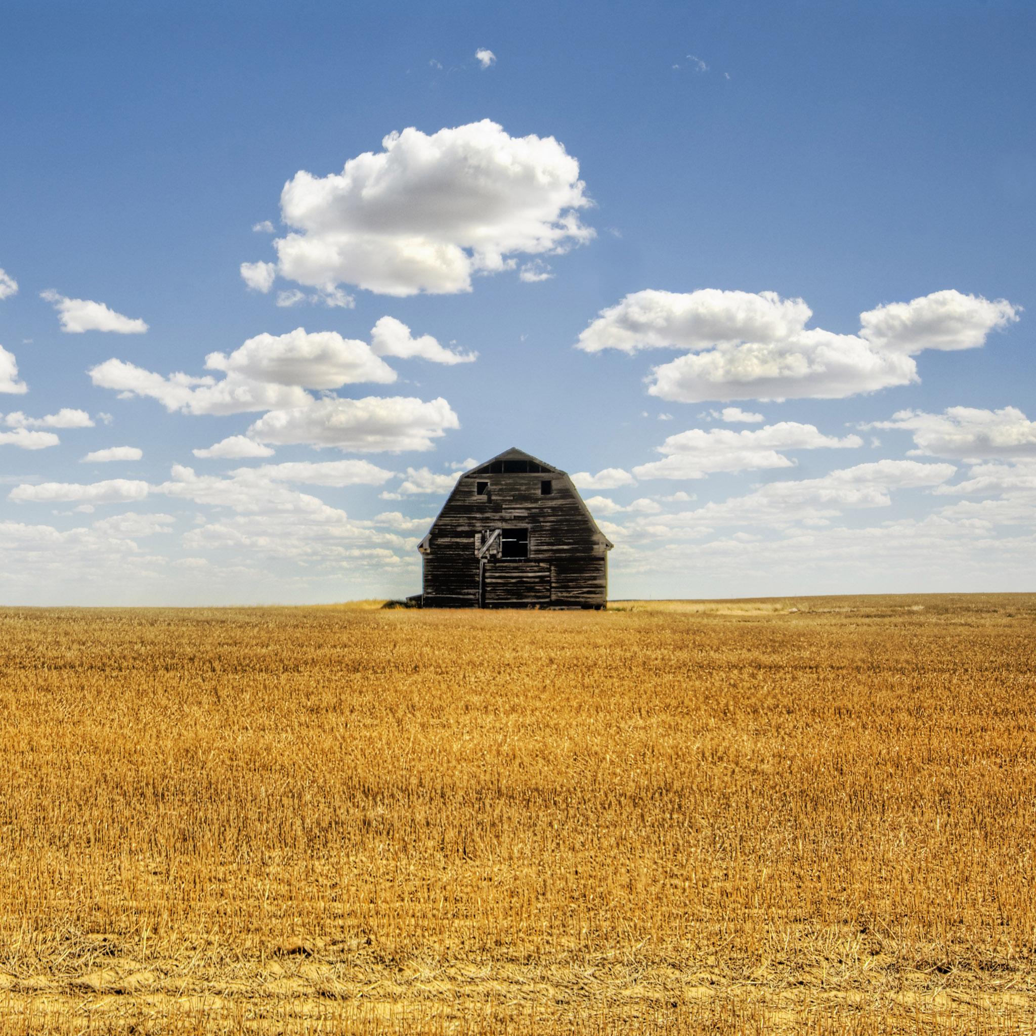 Summer field and old barn iPad Wallpaper