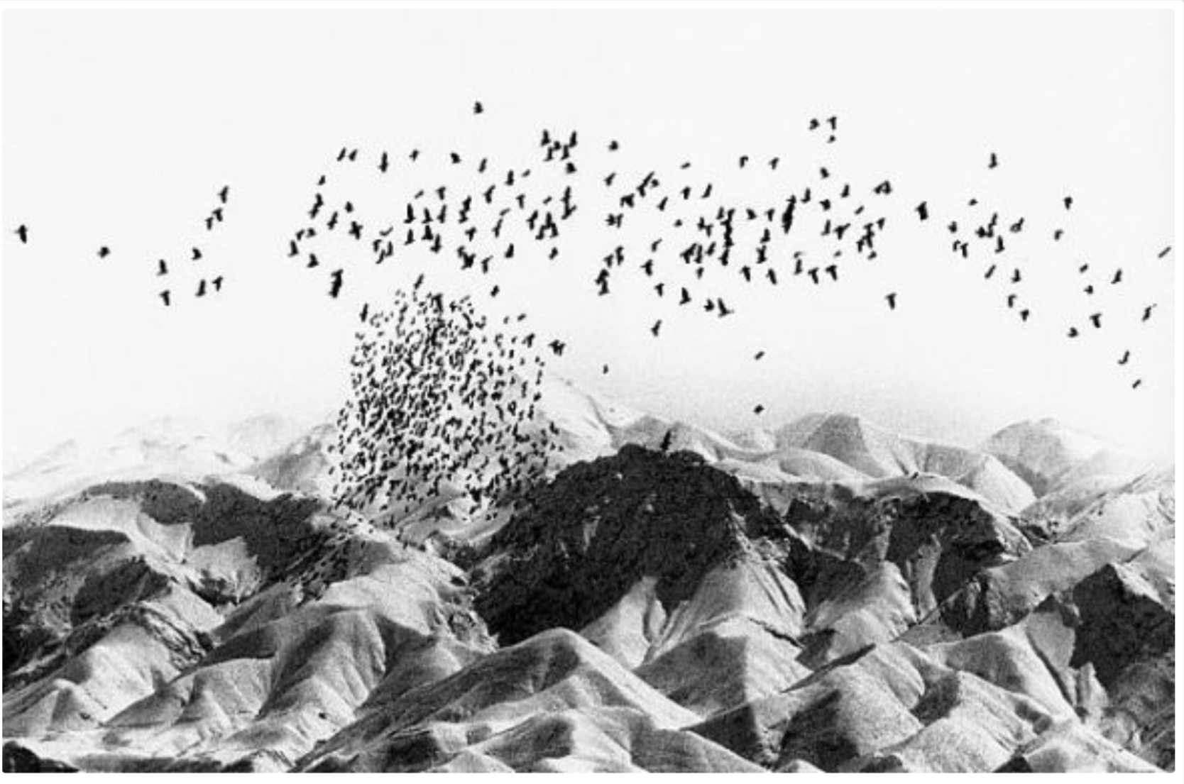 Lessons Abbas Kiarostami Has Taught Me About Cinema, Art, and Life