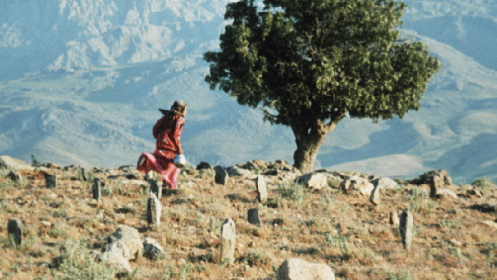 A Close Up Of Abbas Kiarostami