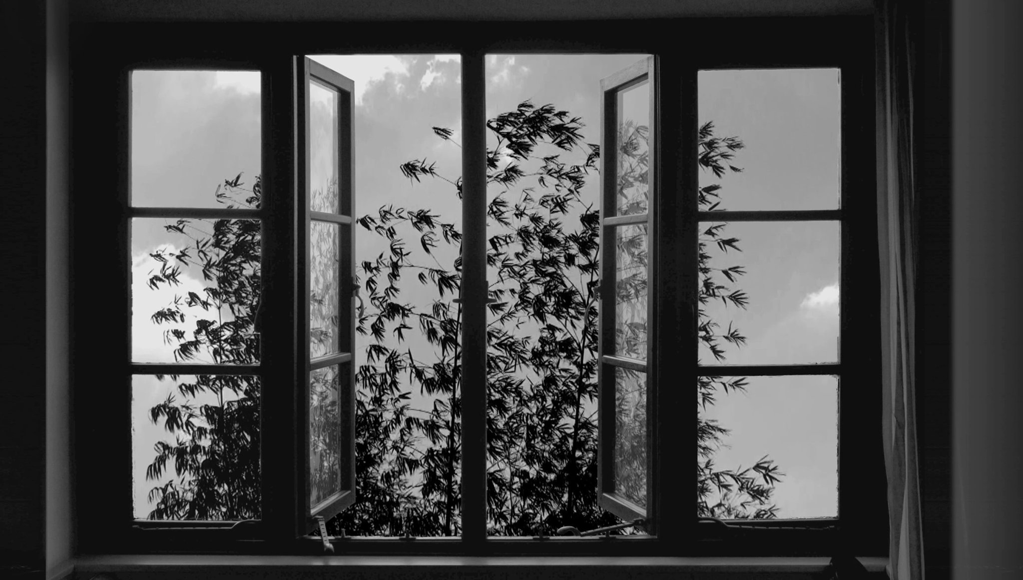 Review: The Persistence of Abbas Kiarostami's Vision in '24 Frames'