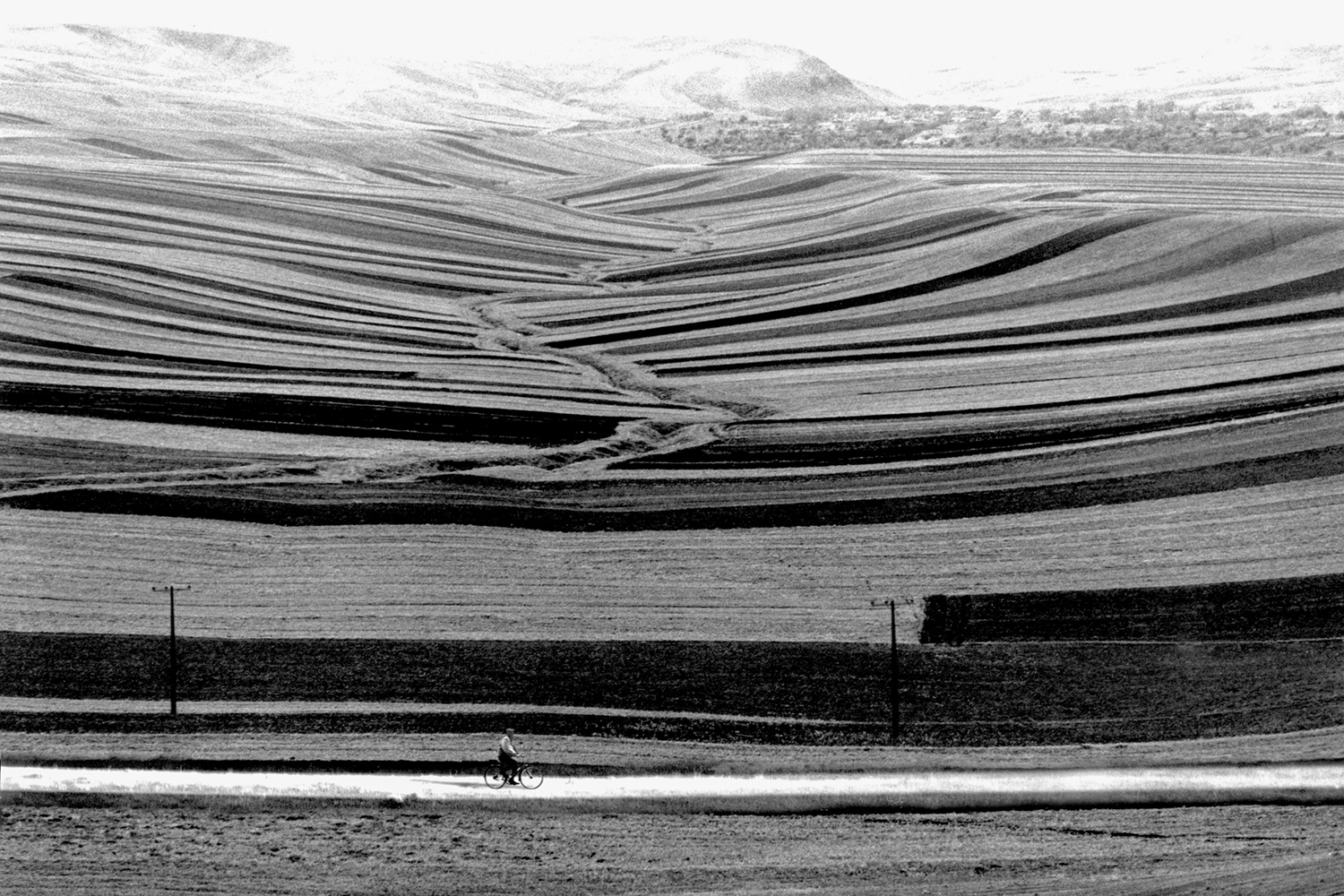 Contemplating the Photo of Abbas Kiarostami