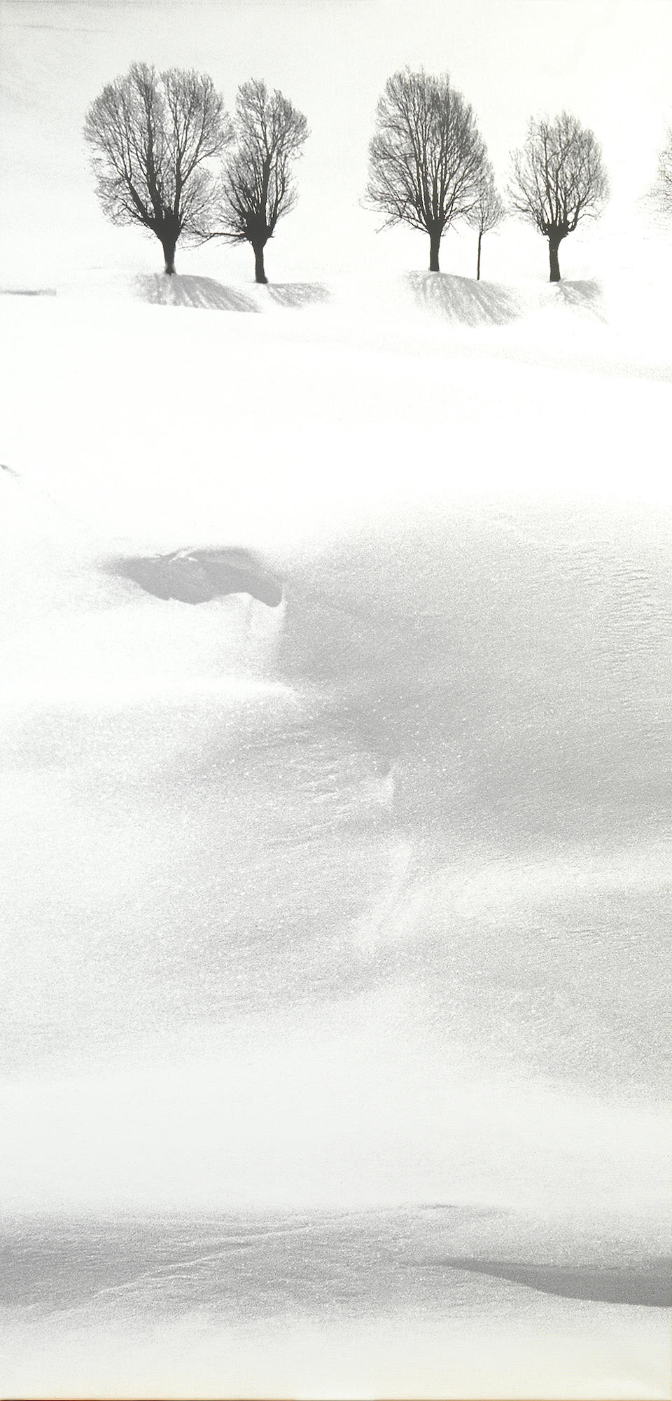 Bonhams, Abbas Kiarostami (Iran, b. 1940) Untitled , from the 'Snow White' series