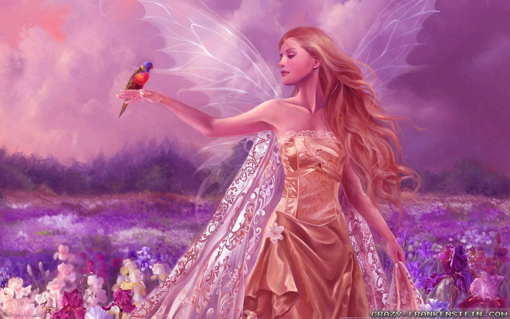 Pink Angel Wallpapers Wallpaper Cave