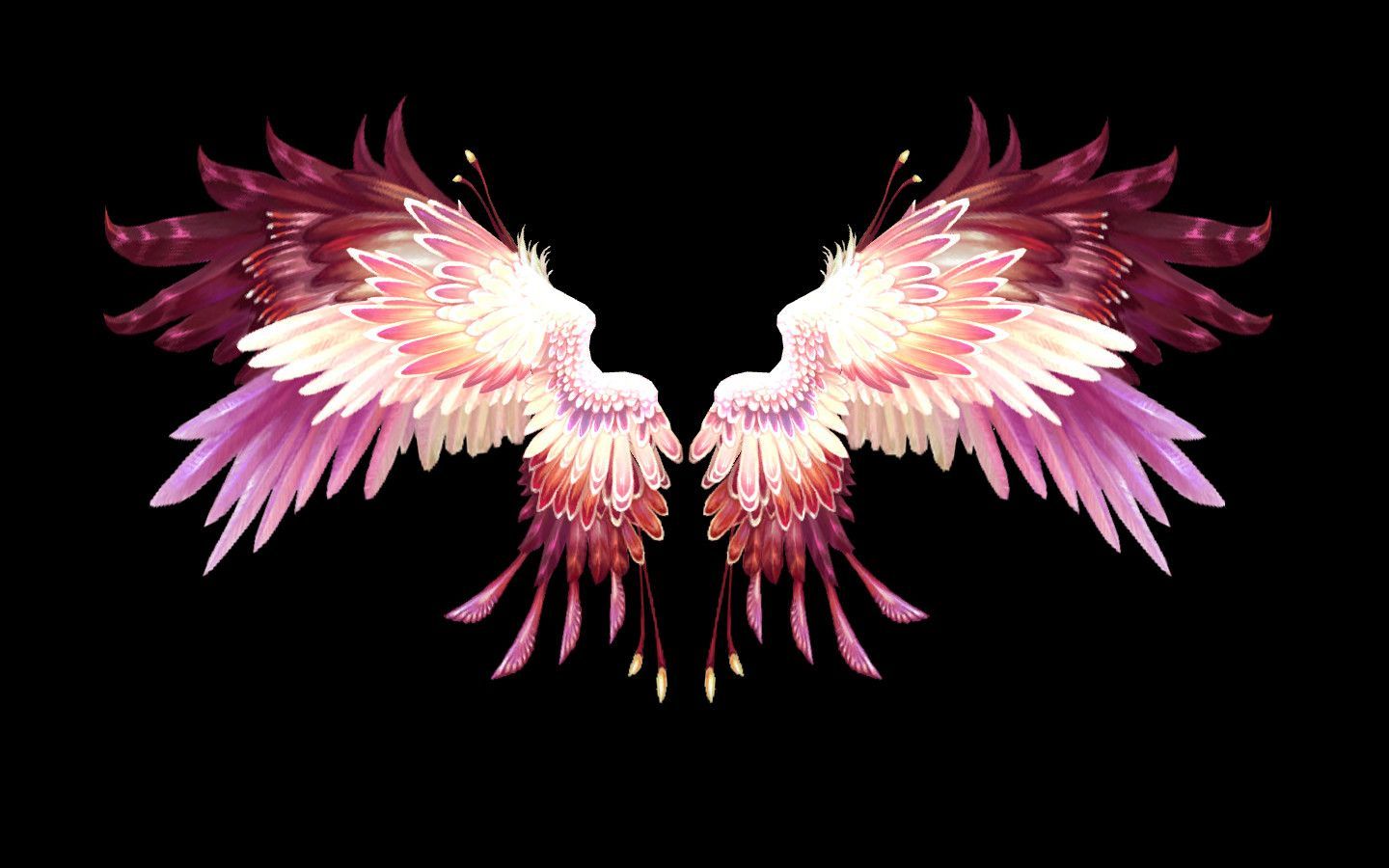 Pink Angel Wallpapers Wallpaper Cave