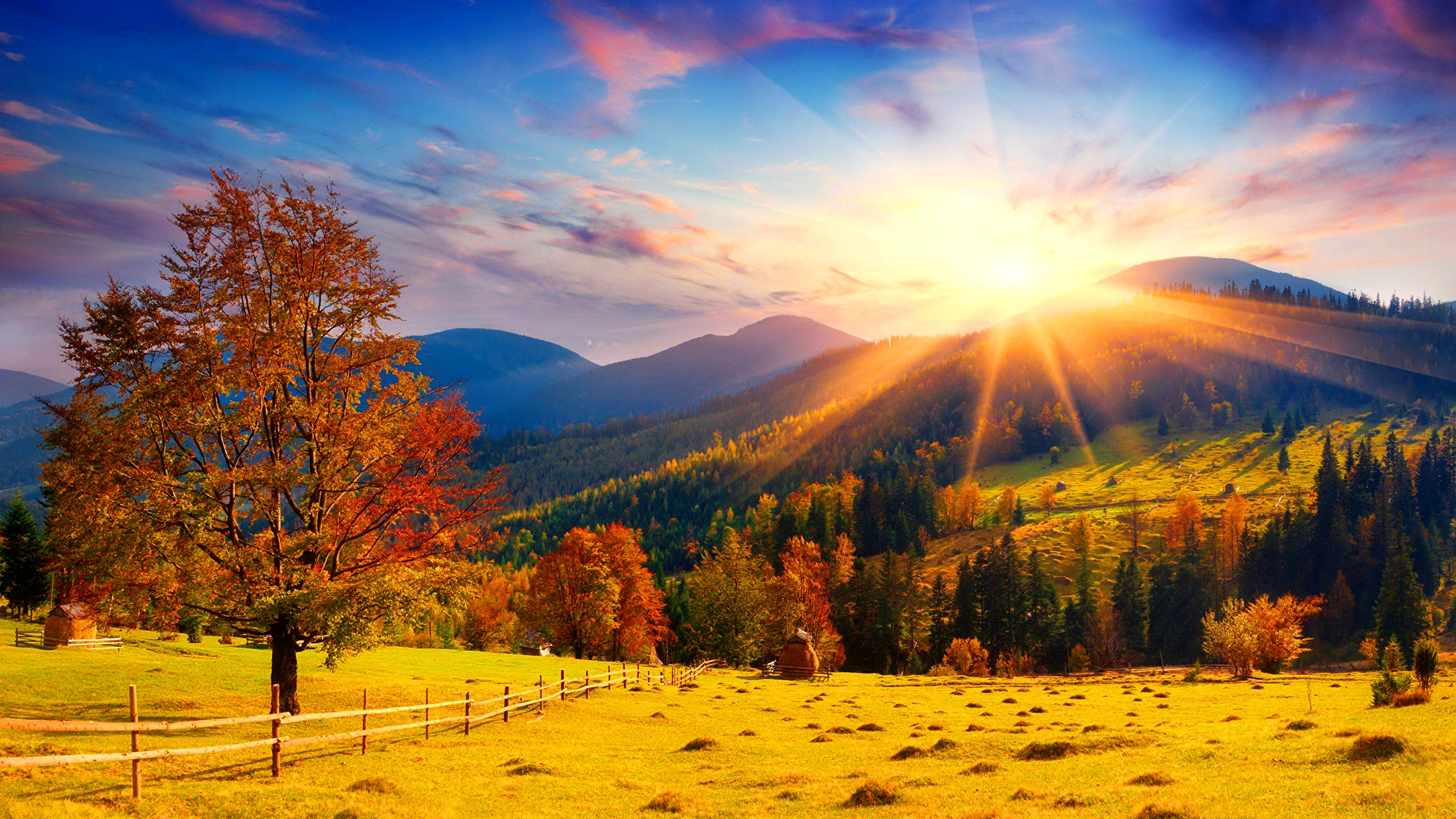 Picture Sun Autumn Nature Sky Hill Fields landscape 2560x1440