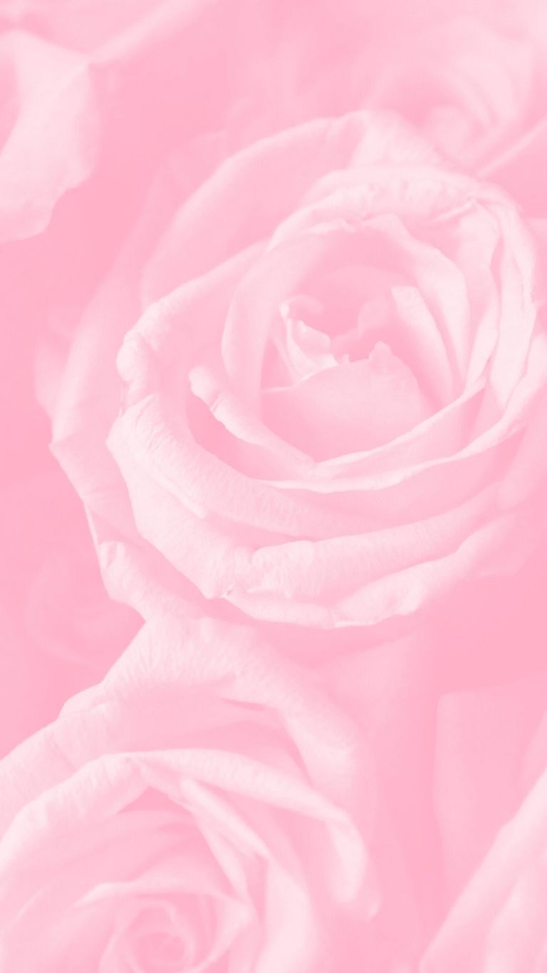 Pink iPhone Background + Cute iPhone Wallpaper