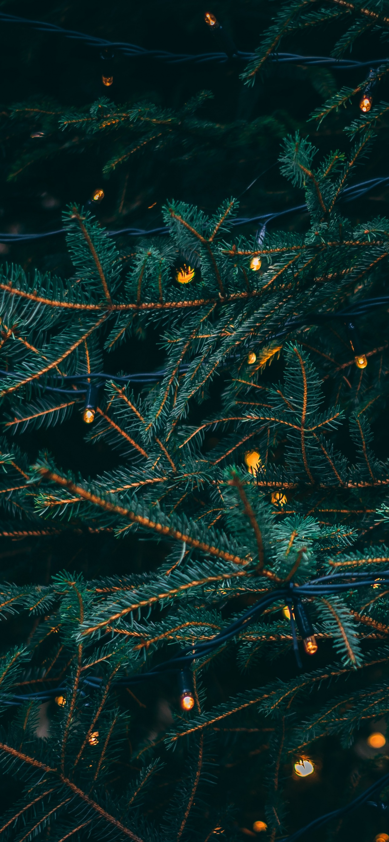 Pine Trees Wallpaper 4K, Decoration, LED Lights, Christmas Decoration, 5K, Celebrations Christmas