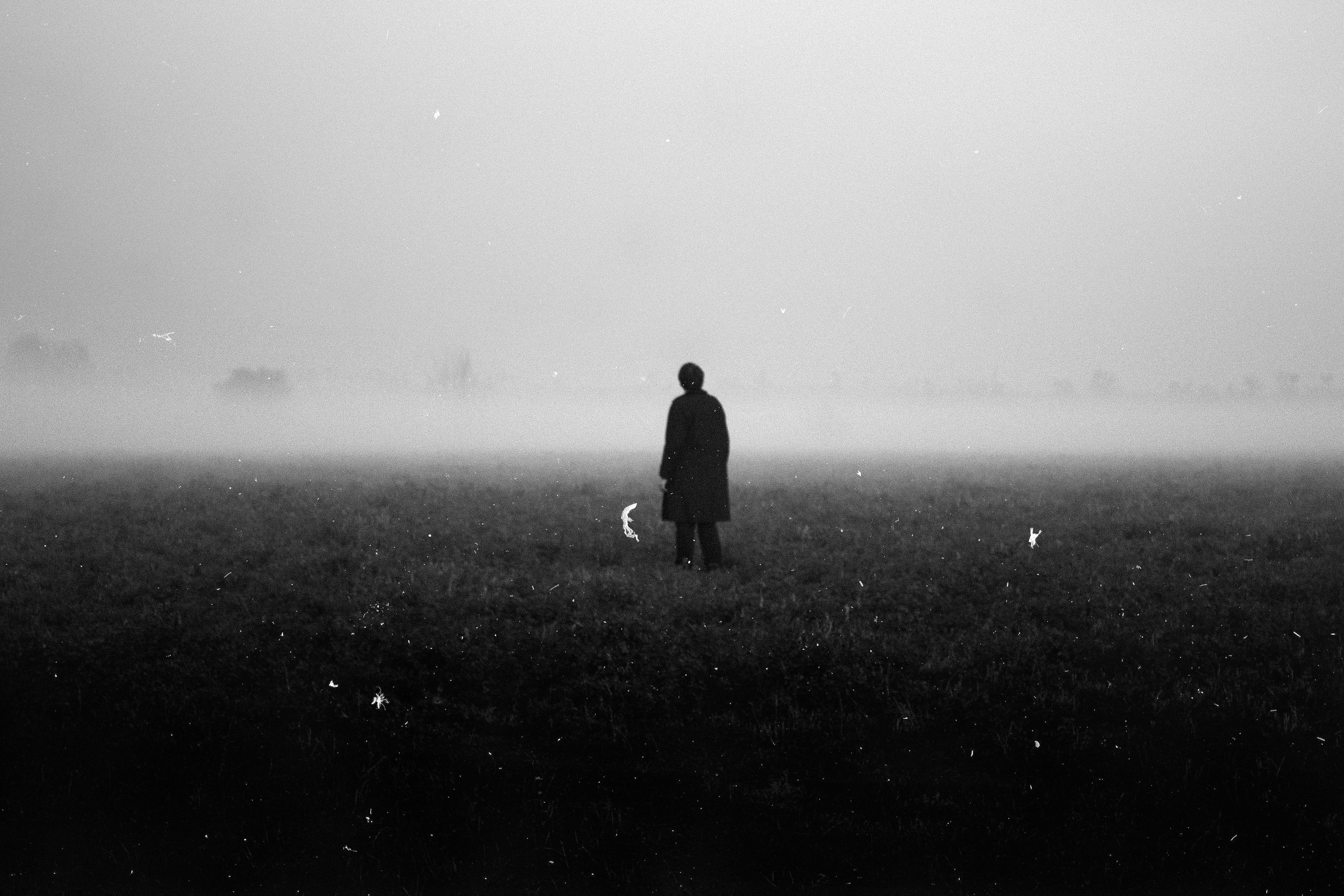5000x3333 fog, mist, field, creepy, person, black and white, Public domain image, solitude, horror, eerie, alone, grass HD Wallpaper