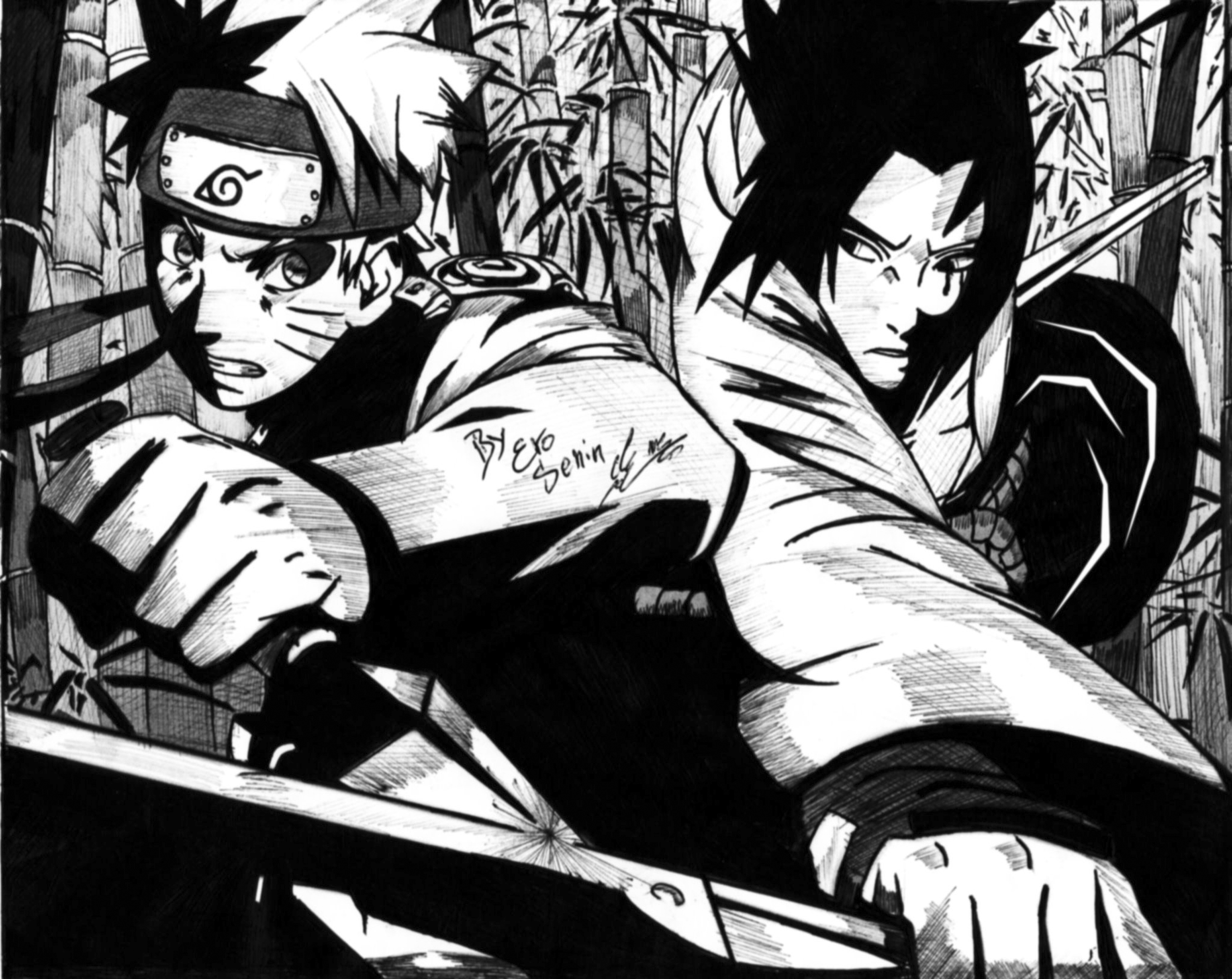 Wallpaper Naruto and Sasuke (Black and white)