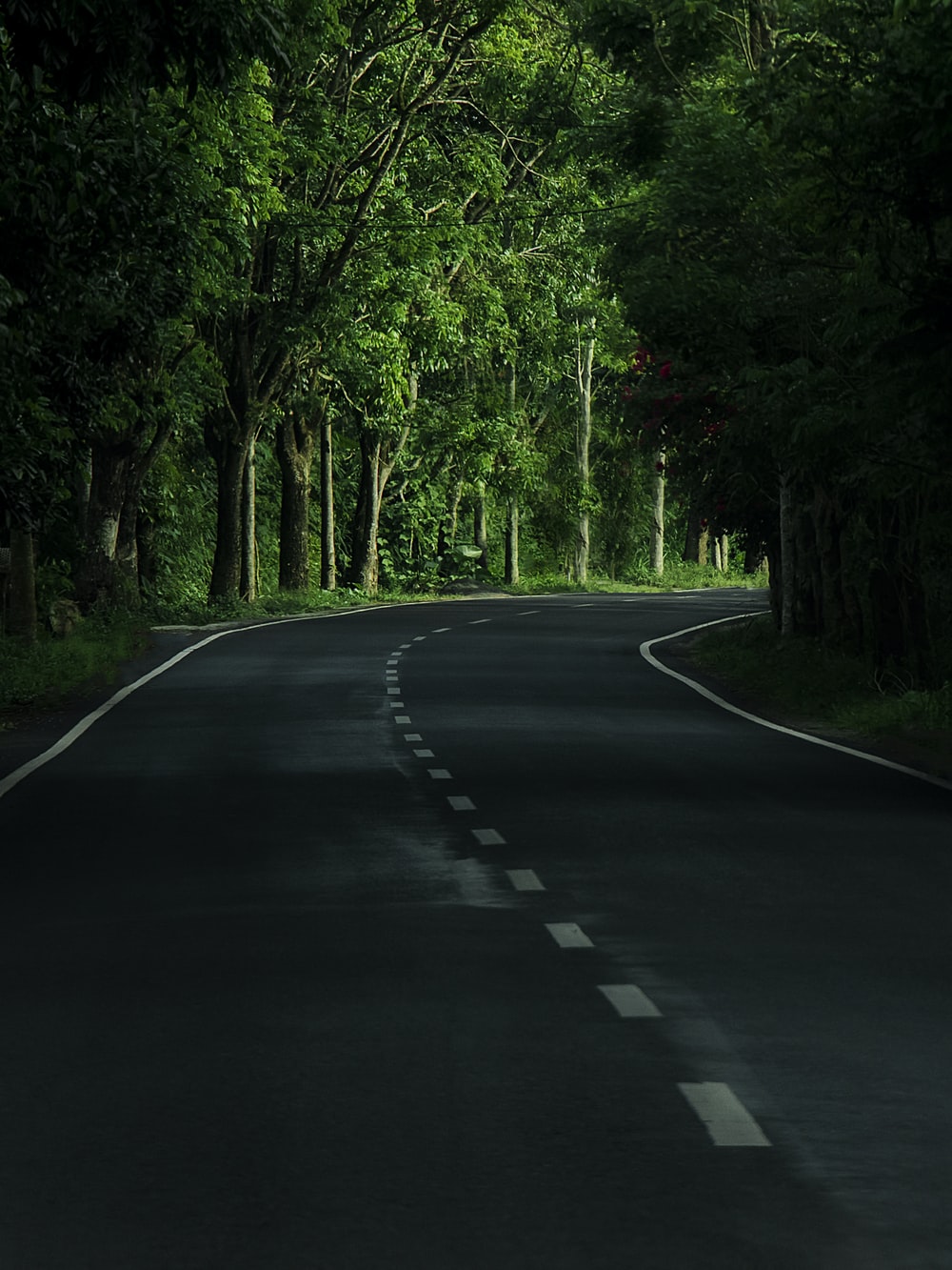 Road Wallpaper