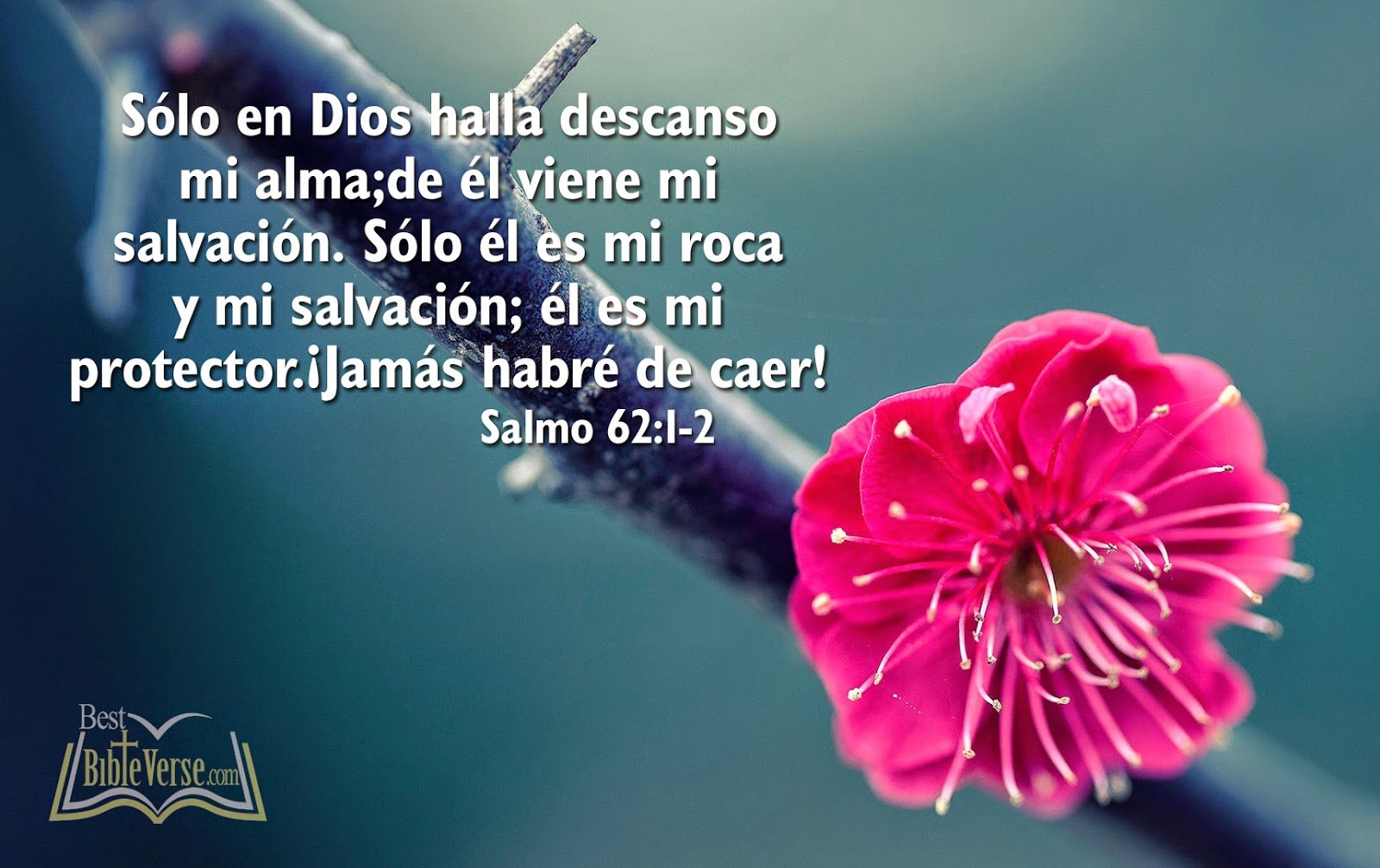 Free download Wedding Quotes From The Bible In Spanish bible quotes in spanish [1600x1006] for your Desktop, Mobile & Tablet. Explore Spanish Wallpaper Sayings. Love Wallpaper in Spanish, Hispanic