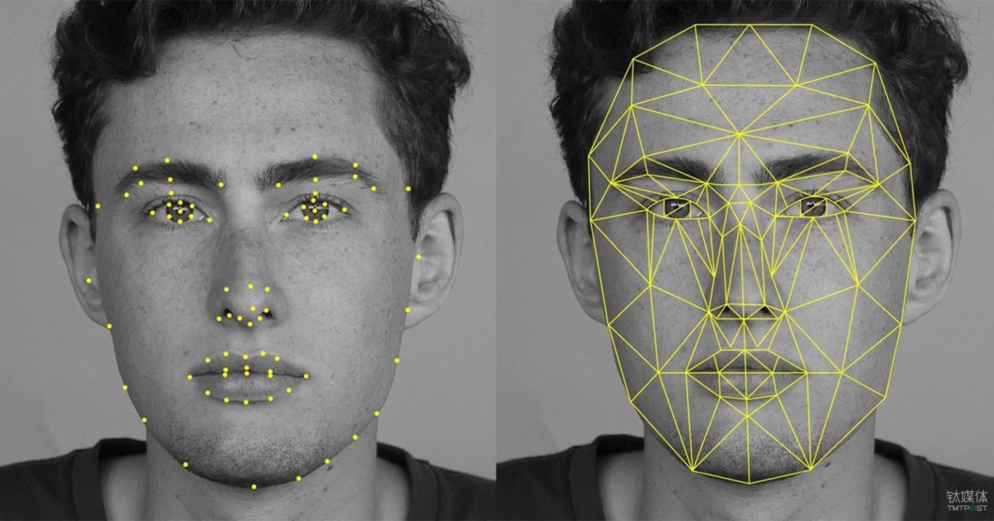 Facial Recognition APIs (Updated for 2021)