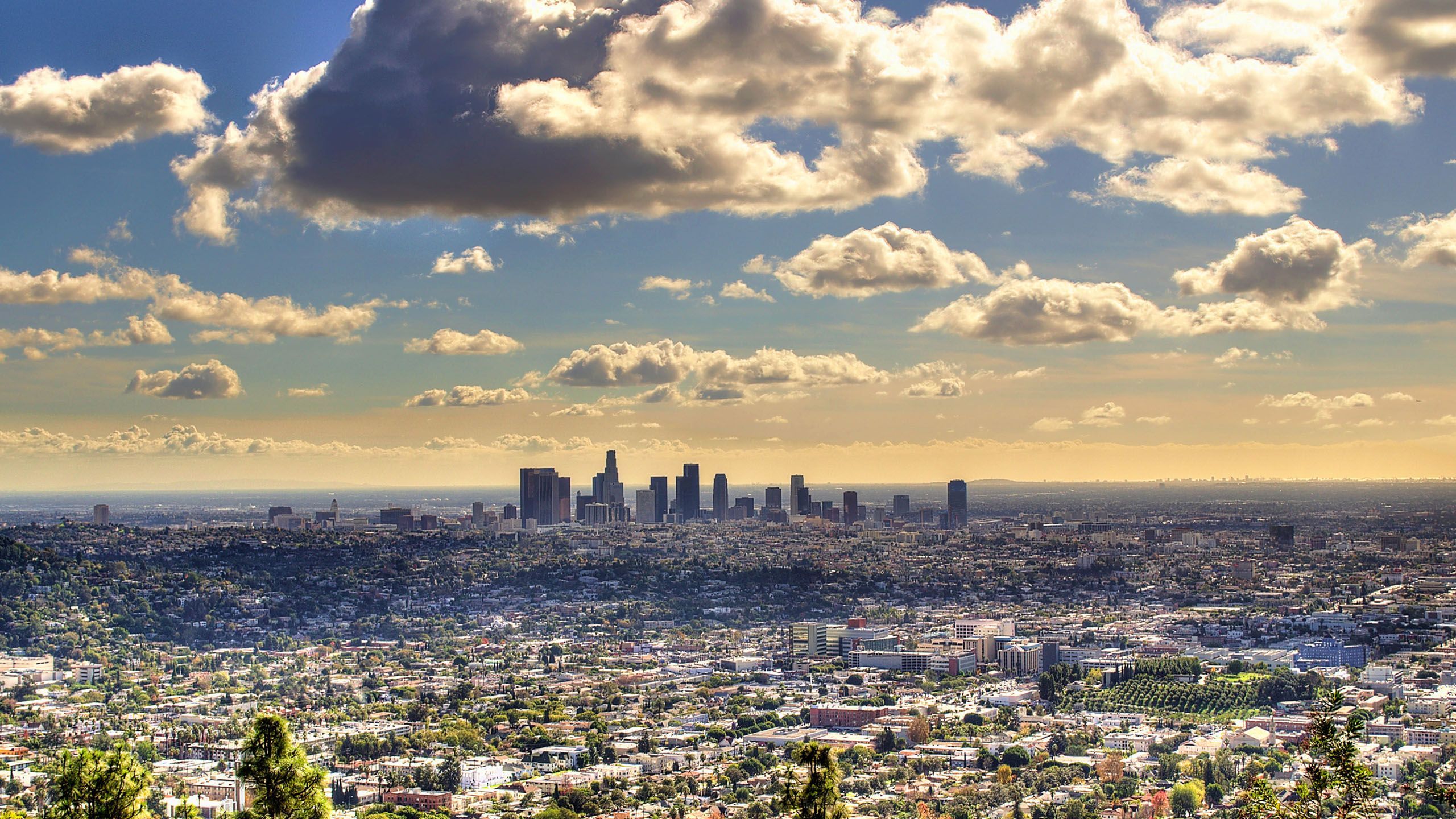 Los Angeles Skyline Wallpaper, HD Los Angeles Skyline Background on WallpaperBat