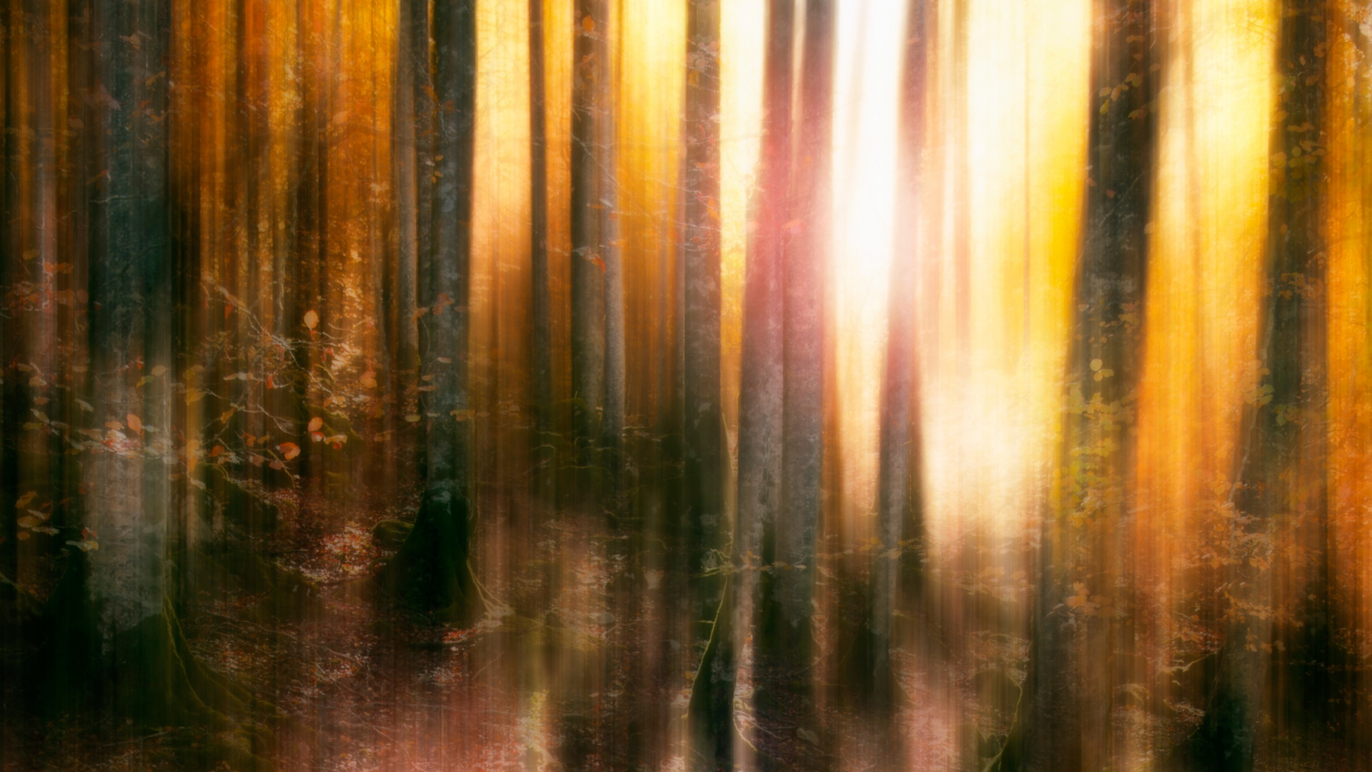 Download Autumn, blur, forest, trees wallpaper, 1920x1080, Full HD, HDTV, FHD, 1080p