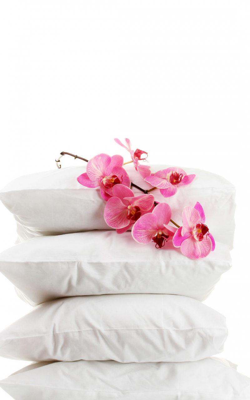 Free download Pillow Nexus 5 Wallpaper Nexus 5 wallpaper and Background [1080x1920] for your Desktop, Mobile & Tablet. Explore The Pillows Wallpaper. Ferm Living Wallpaper, Ferm Wallpaper