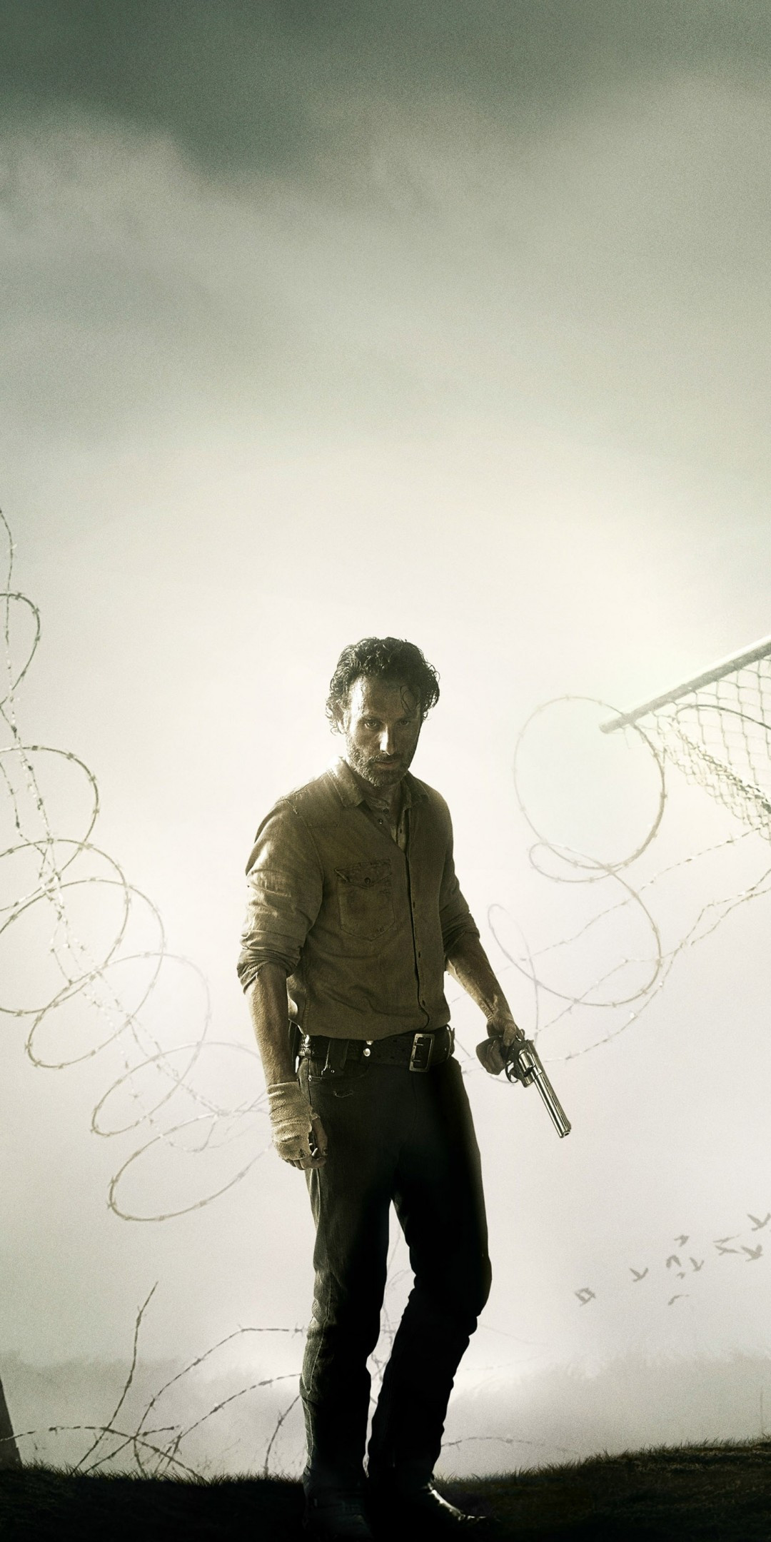Download 1080x2160 The Walking Dead, Tv Series, Rick Grimes Wallpaper for Huawei Mate 10