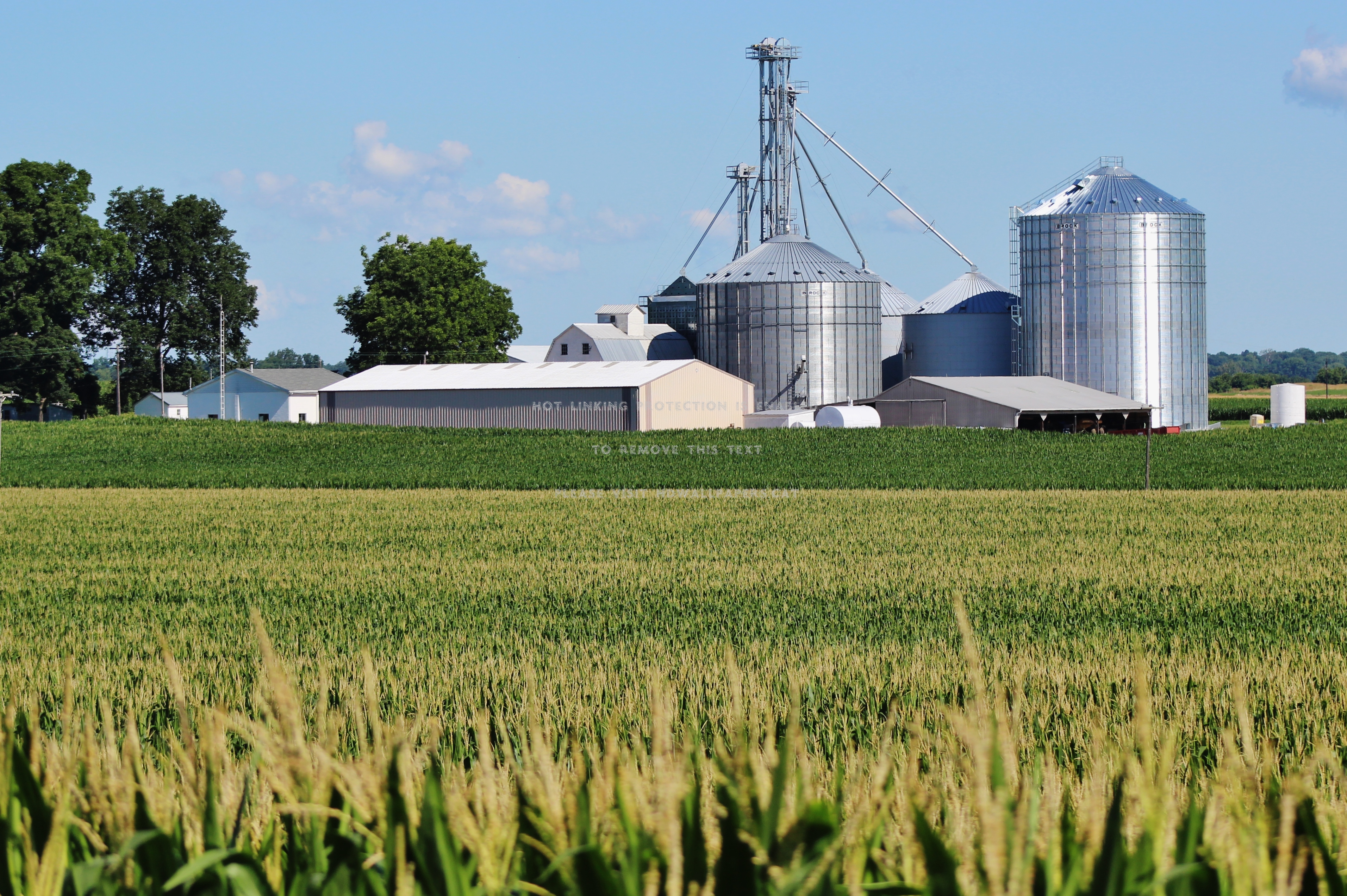 indiana farm silo corn nature fields