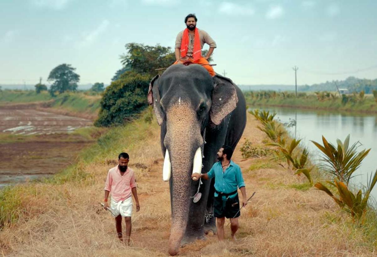 Gajam': Video featuring 'Bahubali 2' elephant Chirakkal Kaalidasan goes viral