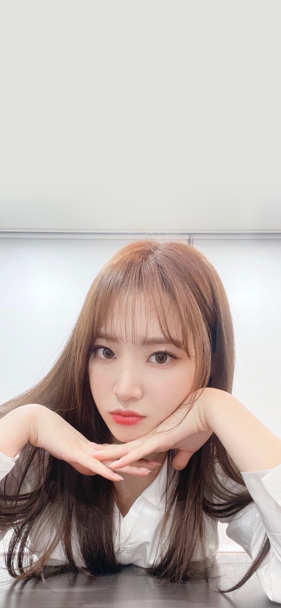 Zoa Wallpapers - Wallpaper Cave