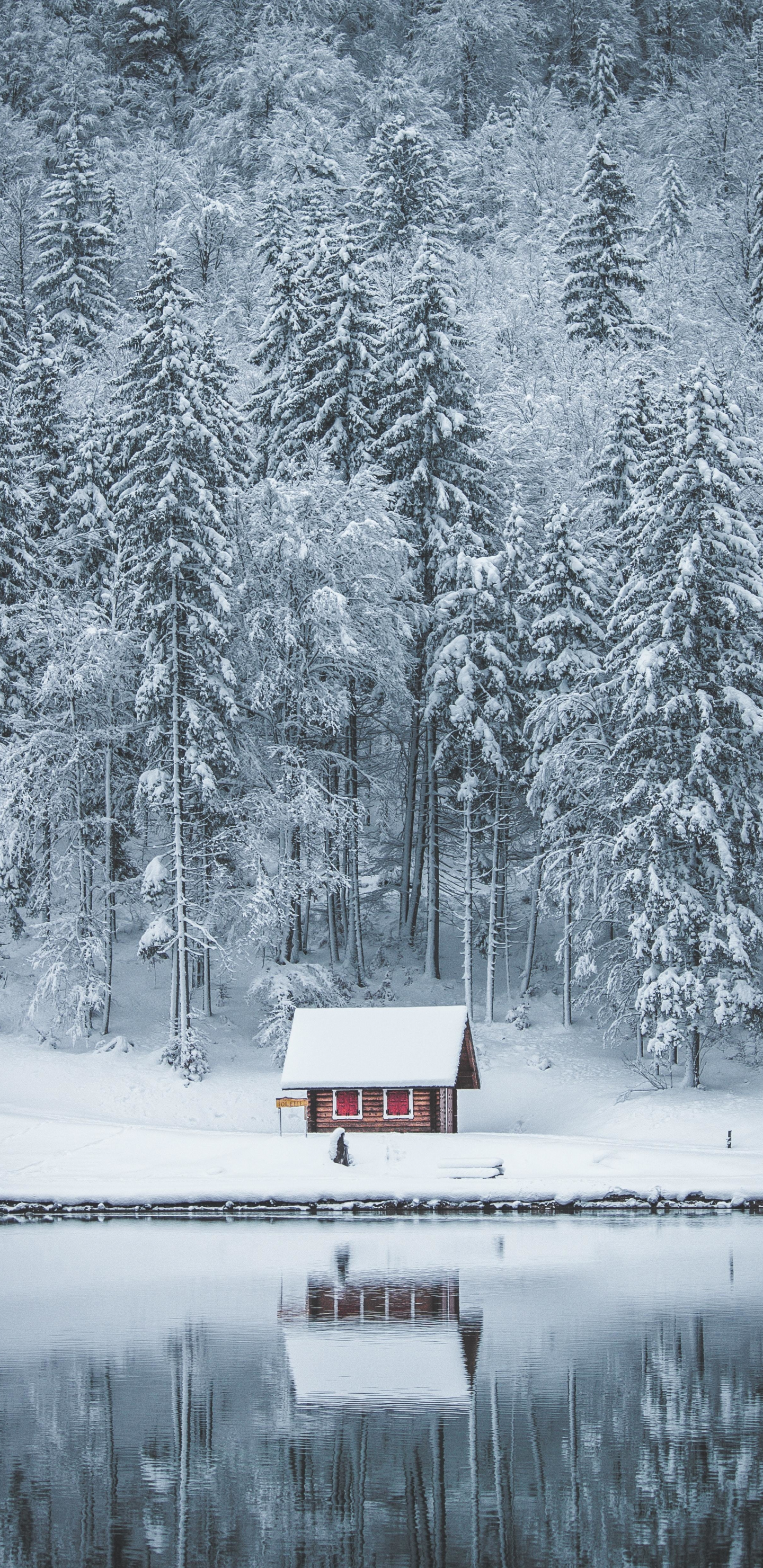 Download 1440x2960 wallpaper winter, house, lake, frozen lake, forest, nature, samsung galaxy s8, samsung galaxy s8 plus, 1440x2960 HD image, background, 23636