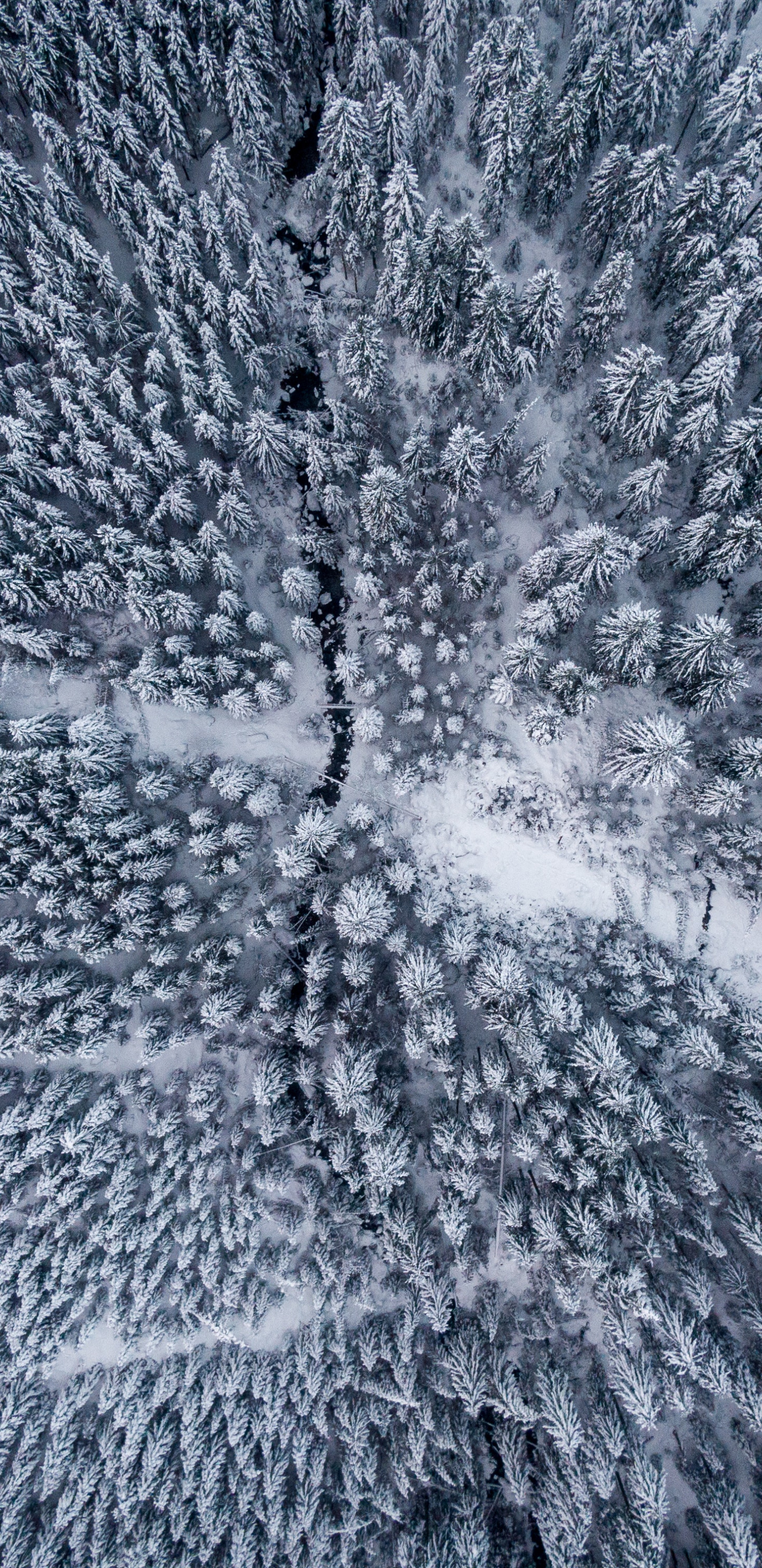 Download Winter, aerial view, forest wallpaper, 1440x2960, Samsung Galaxy S8, Samsung Galaxy S8 Plus