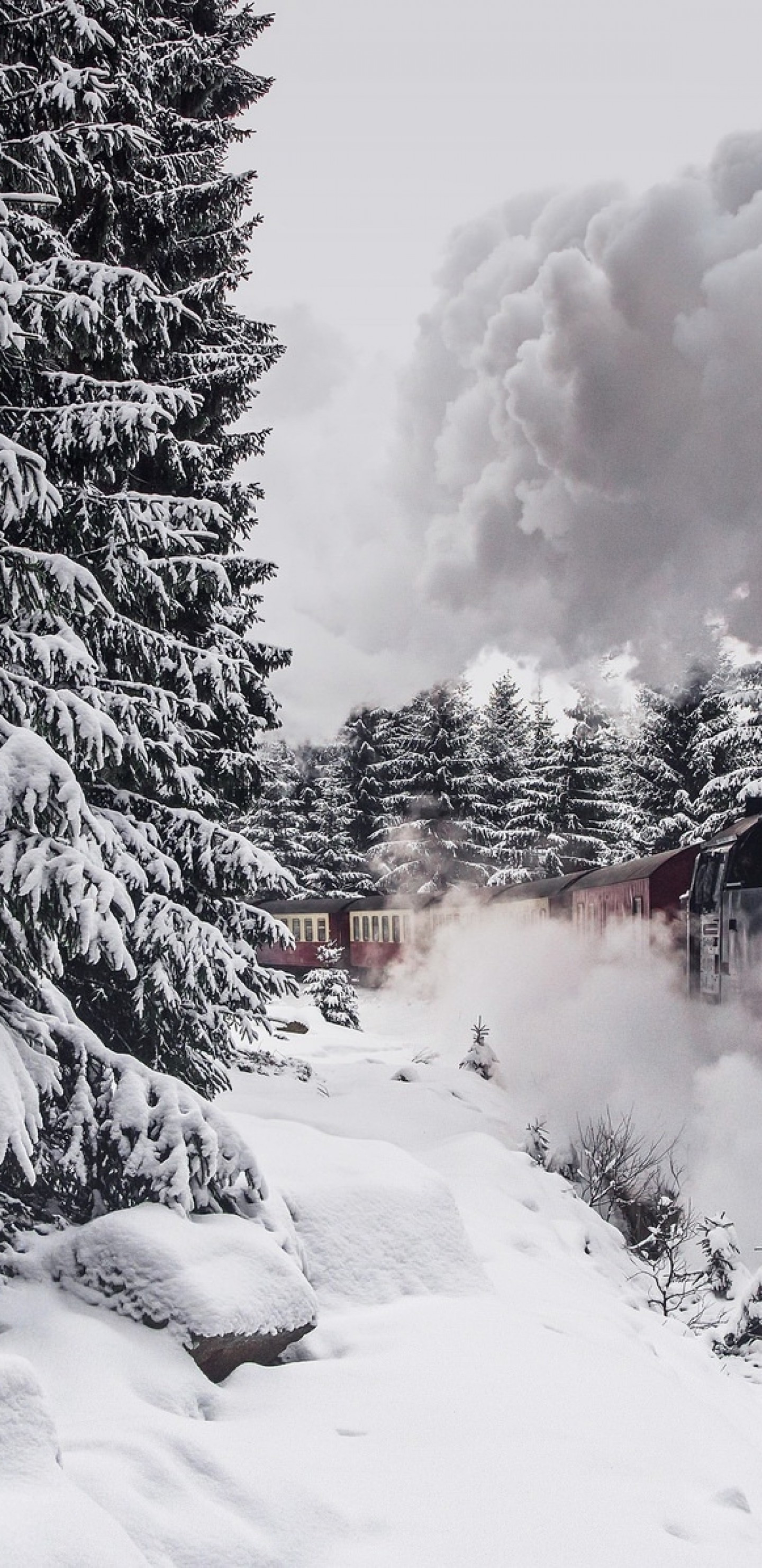 Download 1440x2960 Steam Train, Snow, Winter, Trees Wallpaper for Samsung Galaxy S9, Note 9, S8, S8+, Google Pixel 3 XL