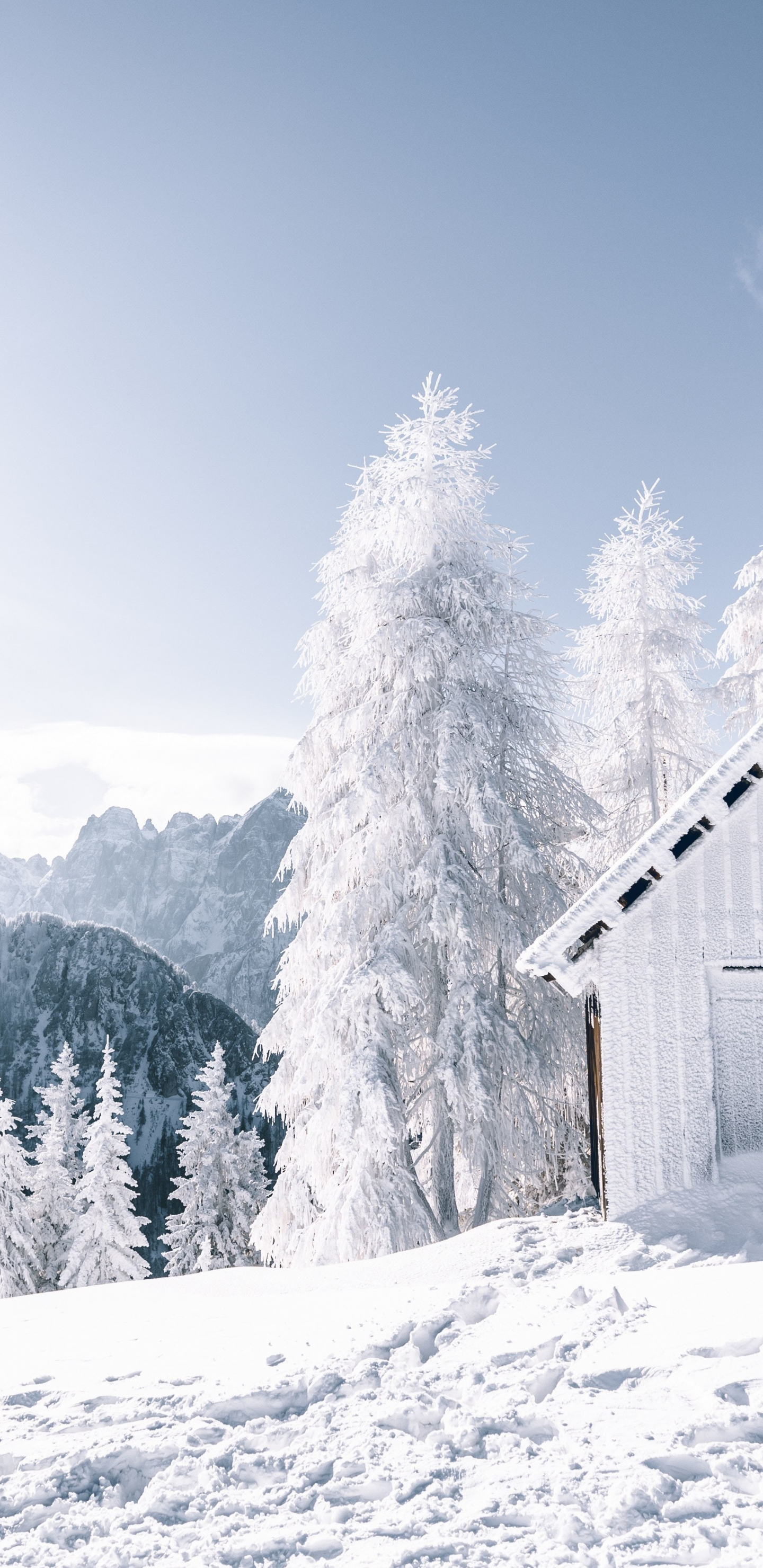 Download 1440x2960 wallpaper winter, landscape, forest, white tree, snowfrost, hut, samsung galaxy s8, samsung galaxy s8 plus, 1440x2960 HD image, background, 17270