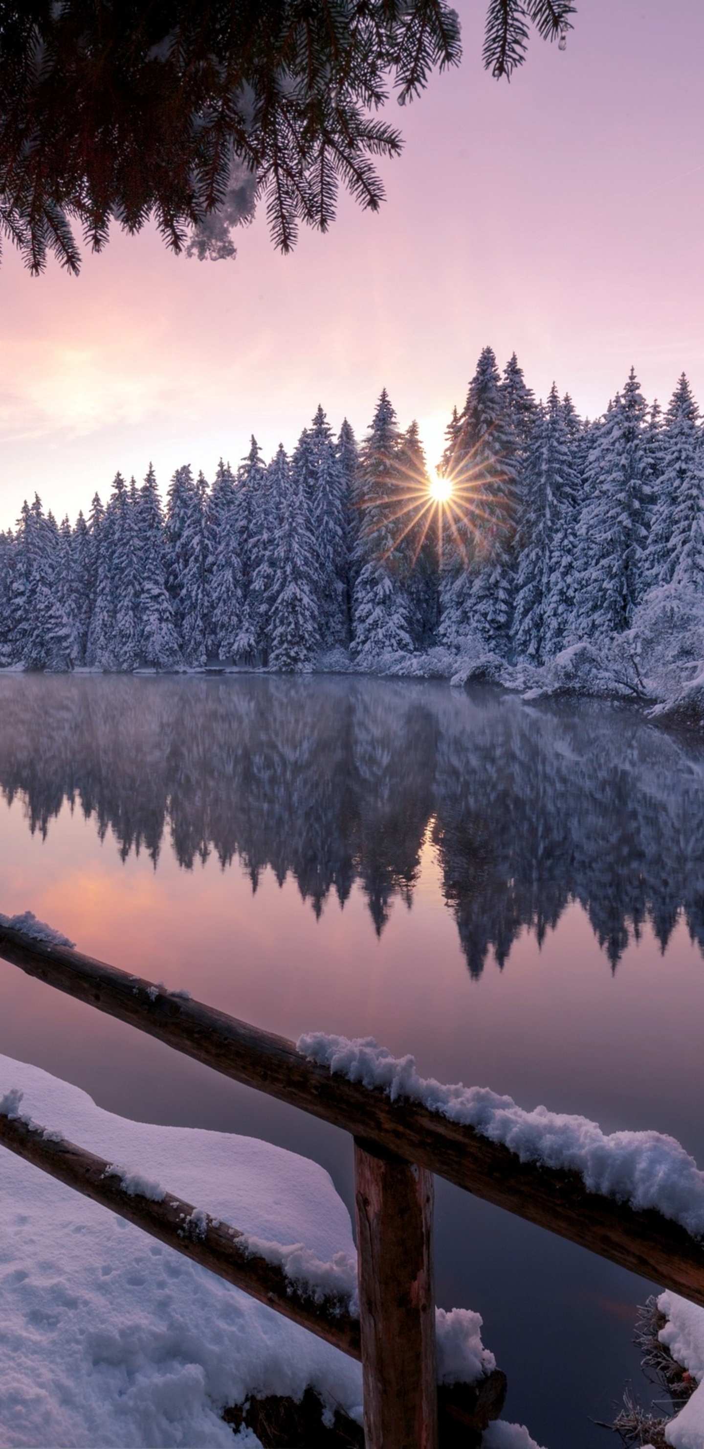 Winter Snow Trees Nature Outdoors Samsung Galaxy Note 9, 8, S9, S8, SQHD HD 4k Wallpaper, Image, Background, Photo and Picture