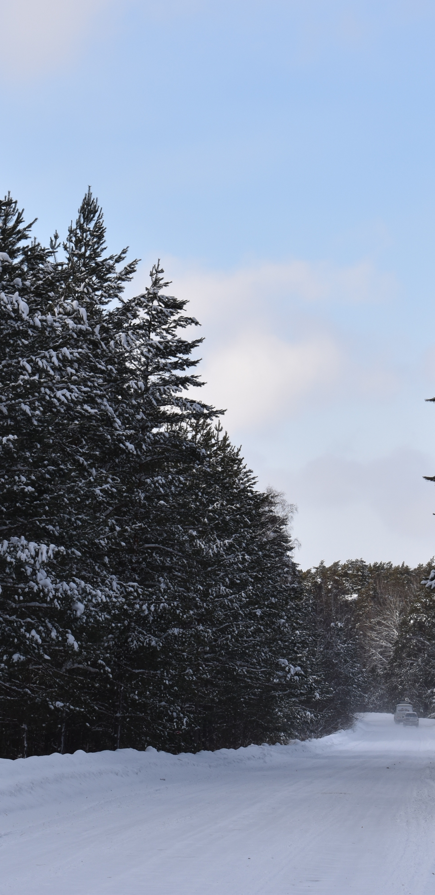 Download 1440x2960 wallpaper winter, road, snow layer, nature, samsung galaxy s8, samsung galaxy s8 plus, 1440x2960 HD image, background, 15894