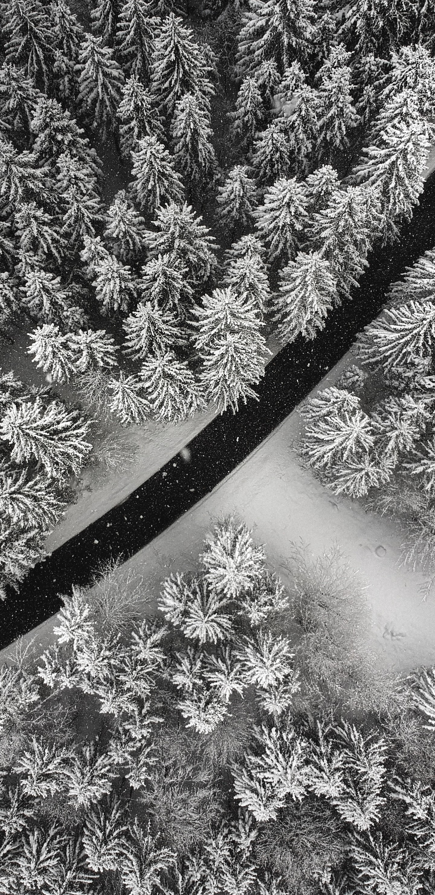 Download 1440x2960 Long Road, Trees, Snow, Winter, Top View Wallpaper for Samsung Galaxy S9, Note 9, S8, S8+, Google Pixel 3 XL