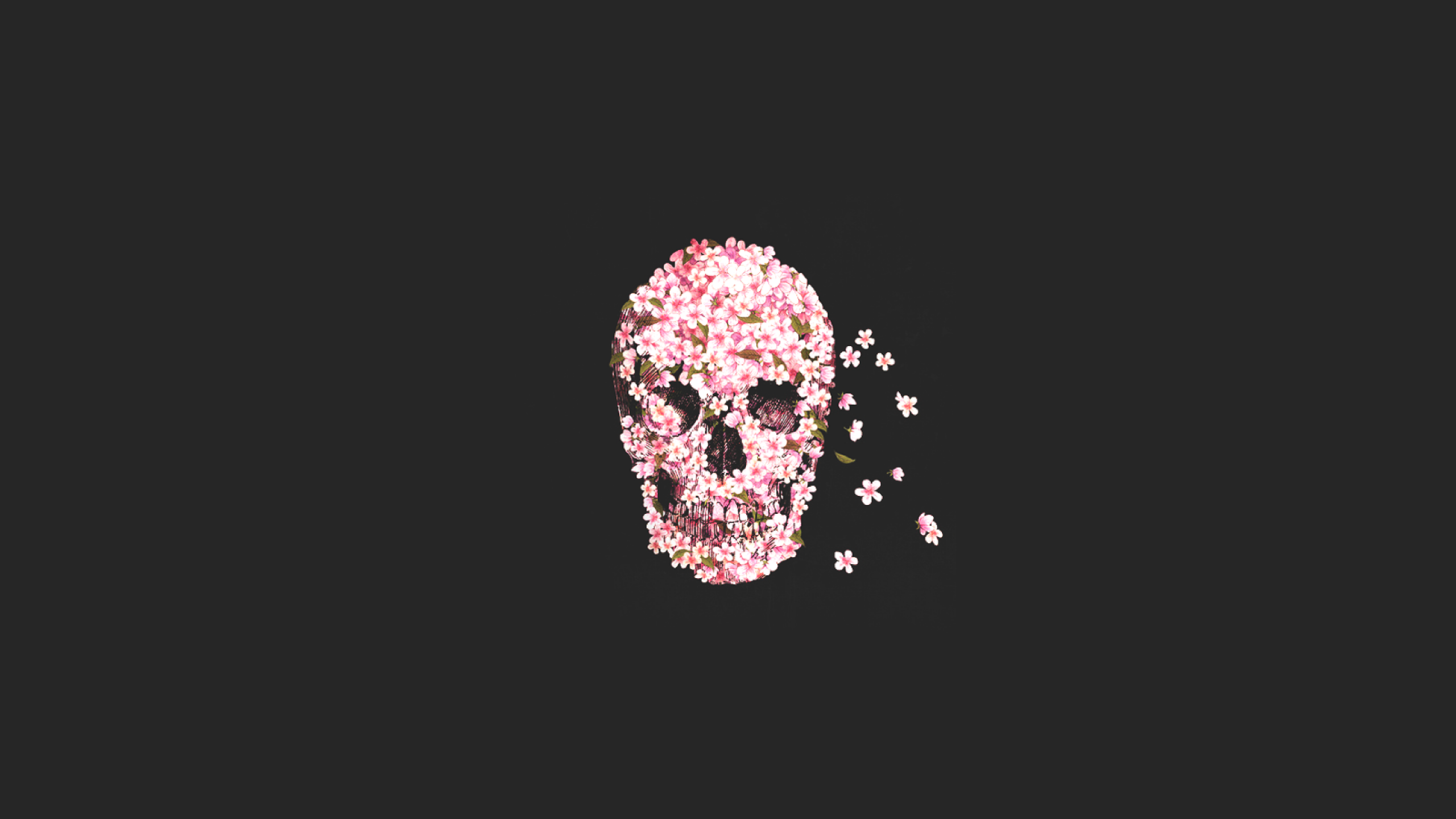#Sugar Skull, #rose, #skull, wallpaper HD Wallpaper