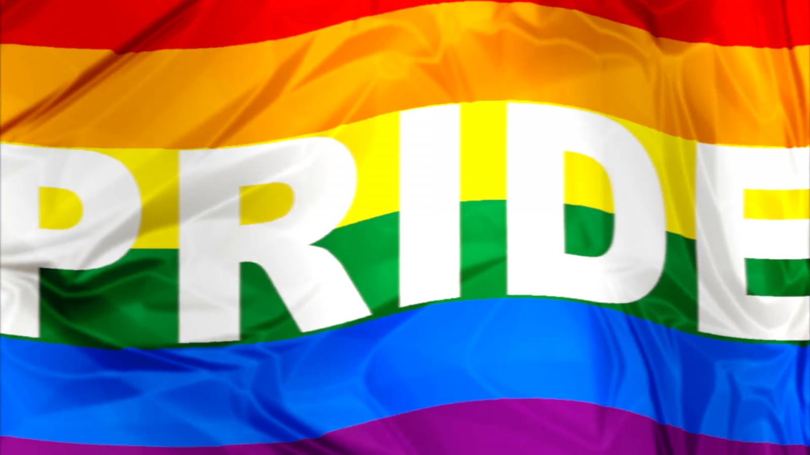 gay flag wallpaper, flag, yellow, font, graphics